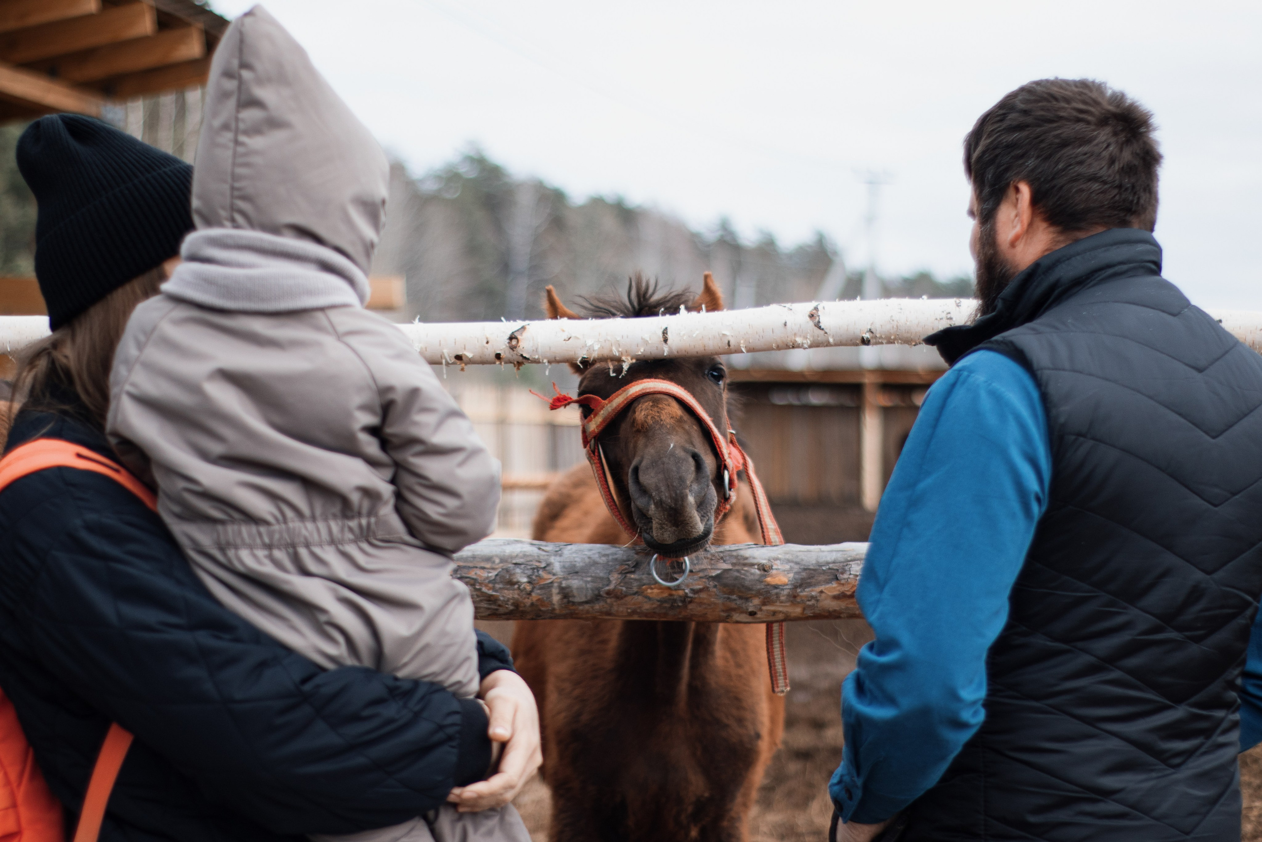 Пасхальные гулянья на хуторе «Кречет». Фотограф в Тюмени Лизавета Сапицкая