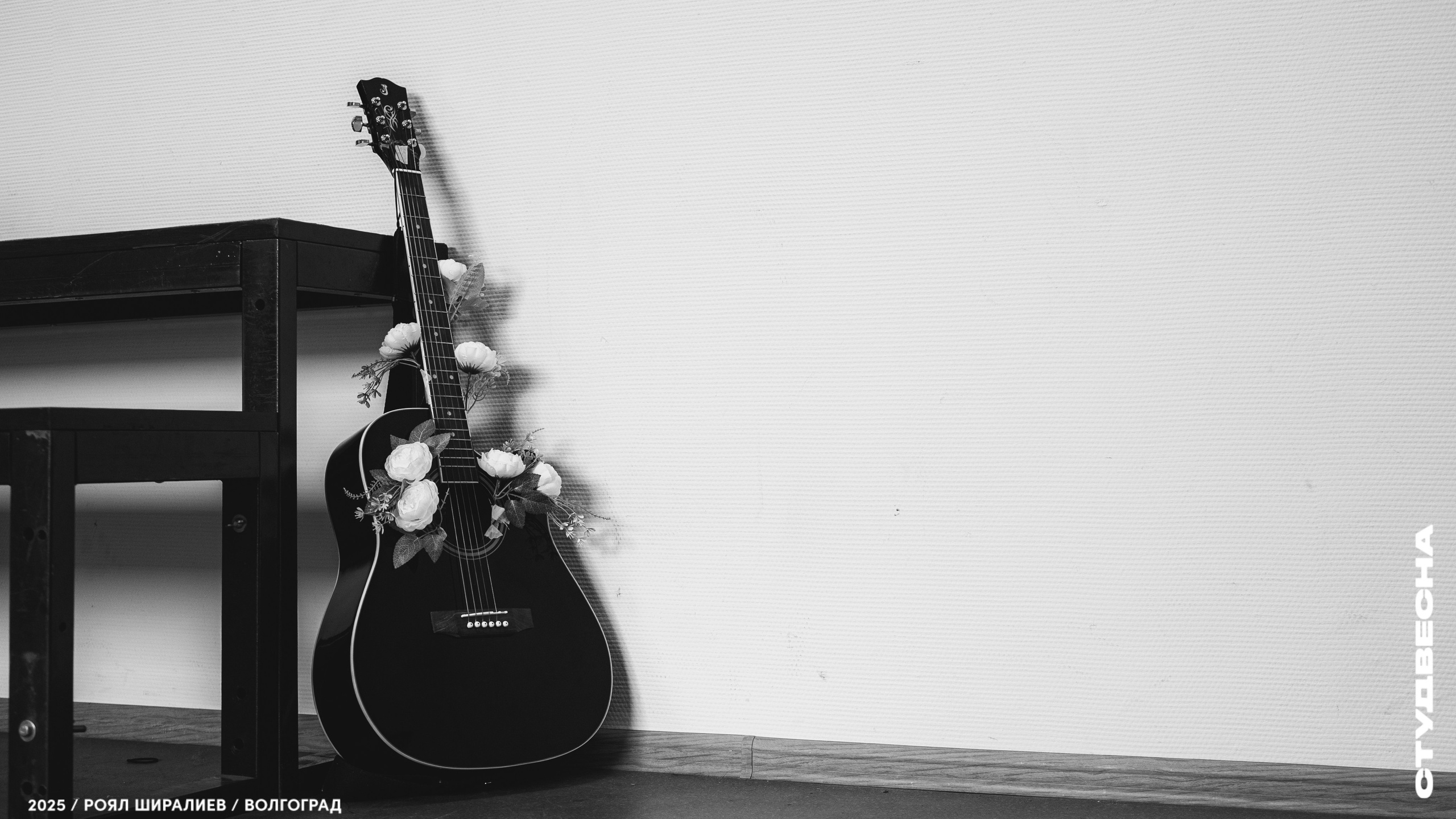 Студенческая весна | Регион | 2025. Royal Shirali