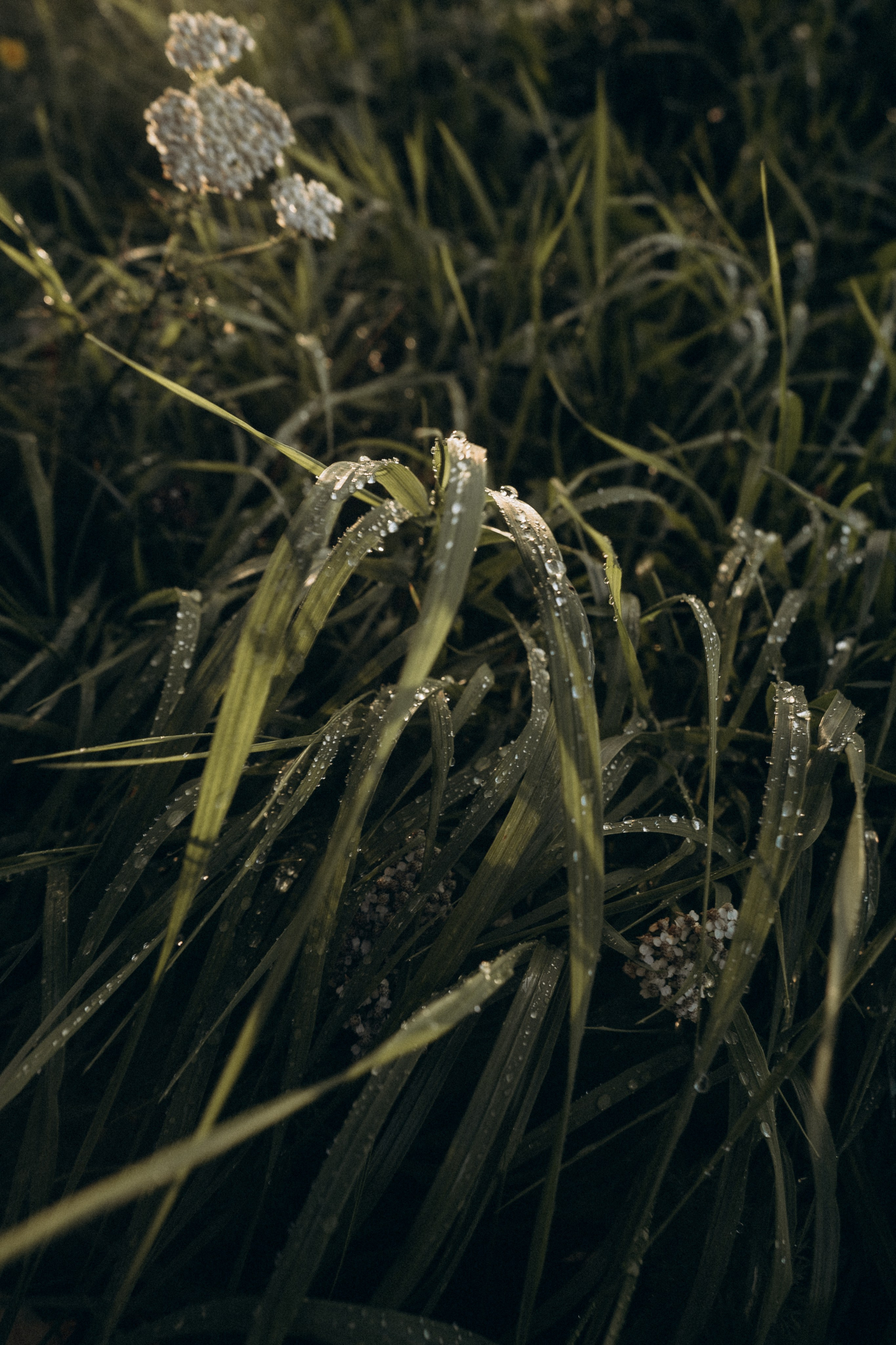 На рыбалке. Семейный и домашний фотограф в Уфе Ирина Гарасюта