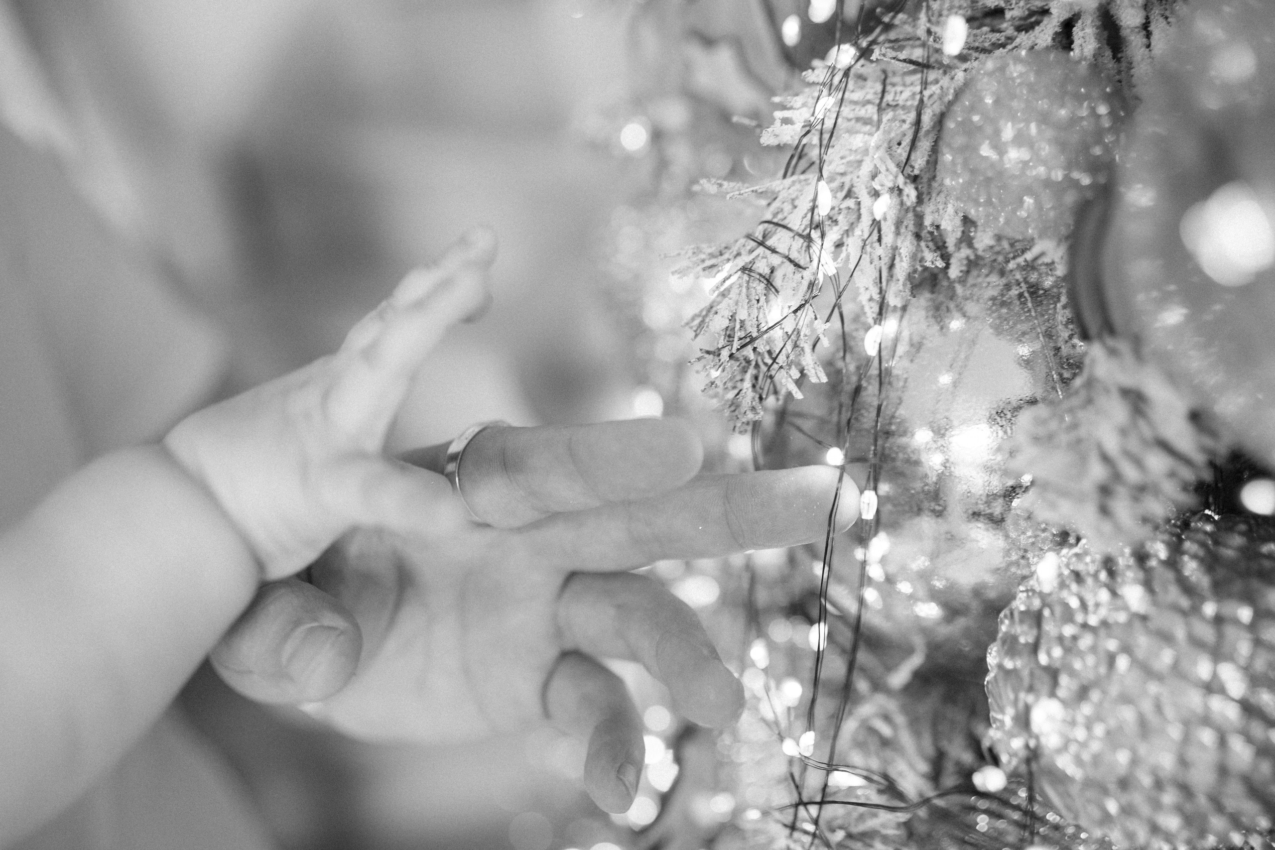 Новый год. Фотограф Москва Татьяна Гайдаржи