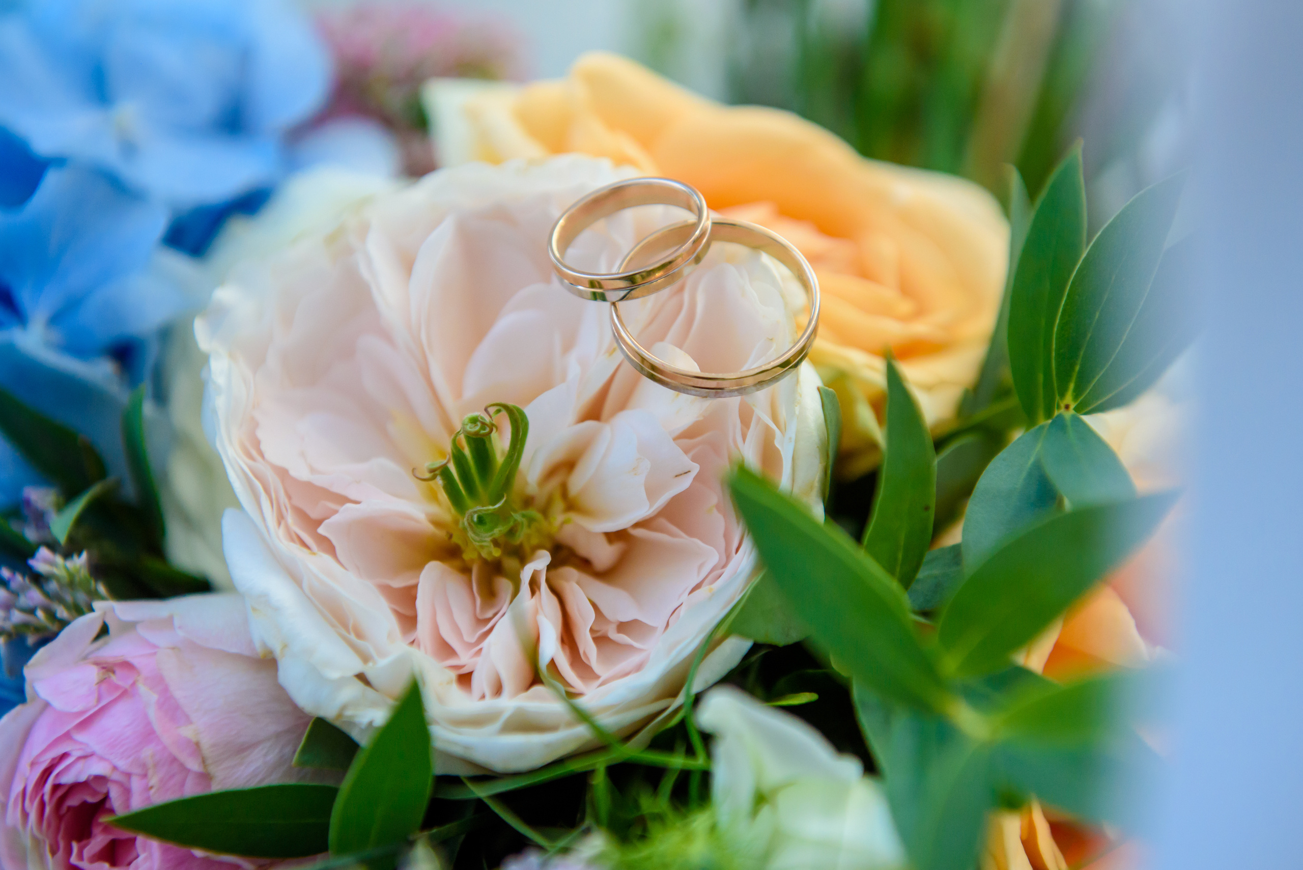 Андрей+Анастасия. Фотограф спб, Санкт-Петербурге, Питере  Денис Гусев