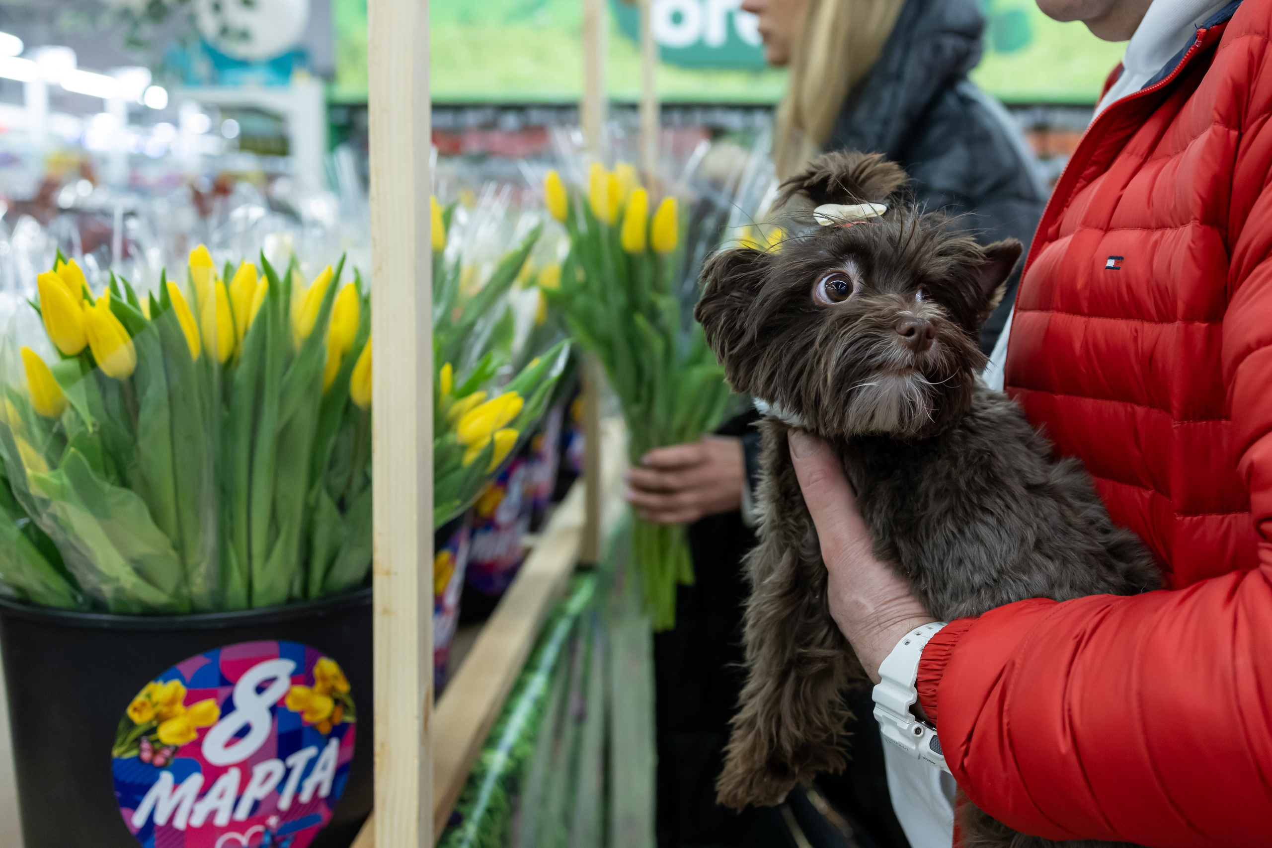 8 марта в ТЦ «F City». Екатерина Пашкова, фотограф, видеограф в Томске