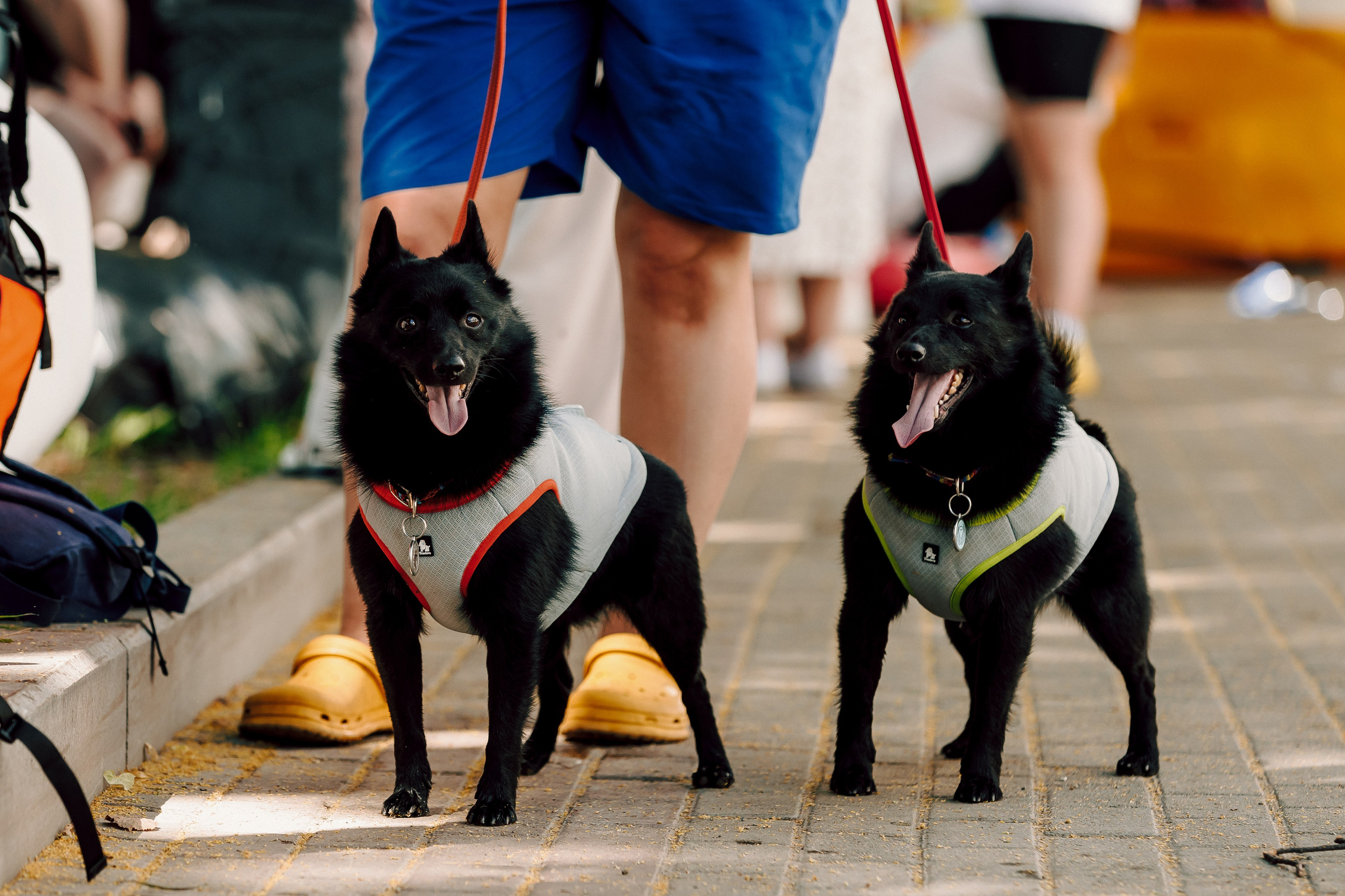 E1 Sup Fest 2024. Лёшка Варзегов — фотограф