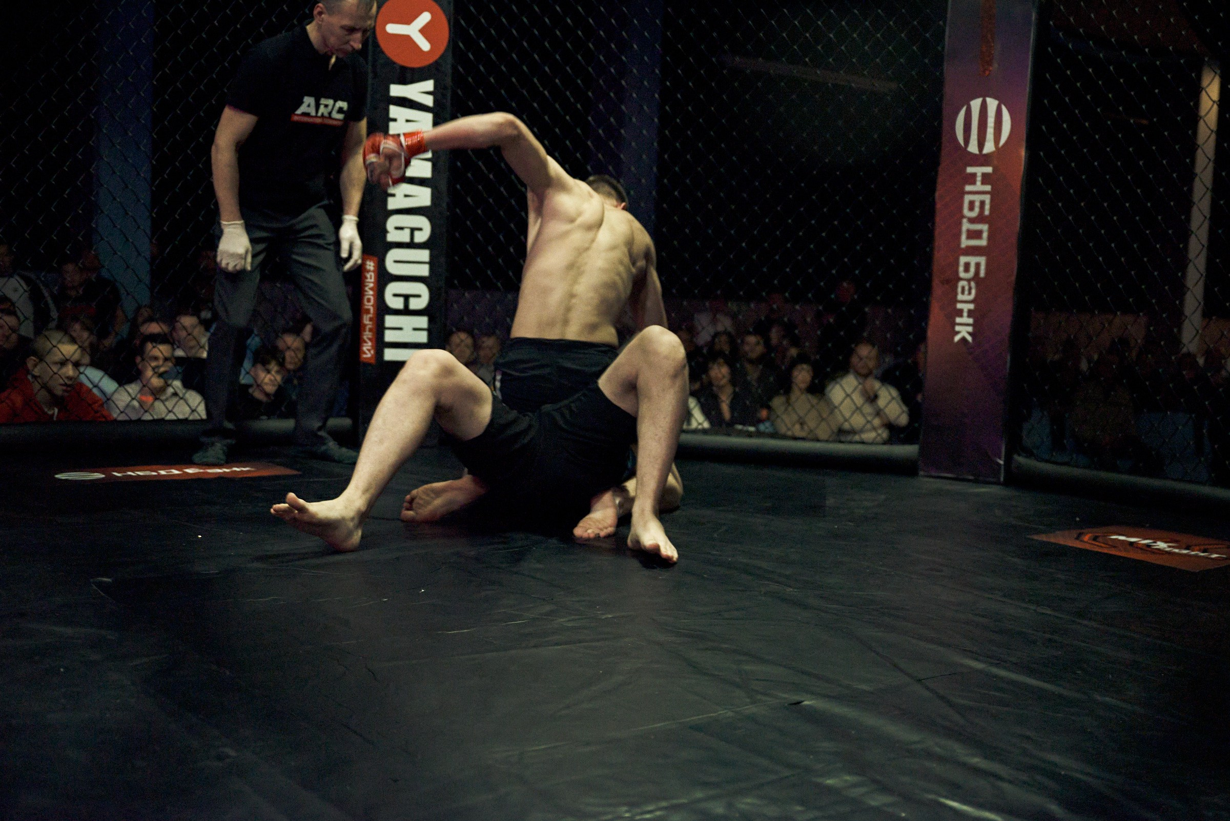 Бои. Маляревич Дмитрий свадебный фотограф