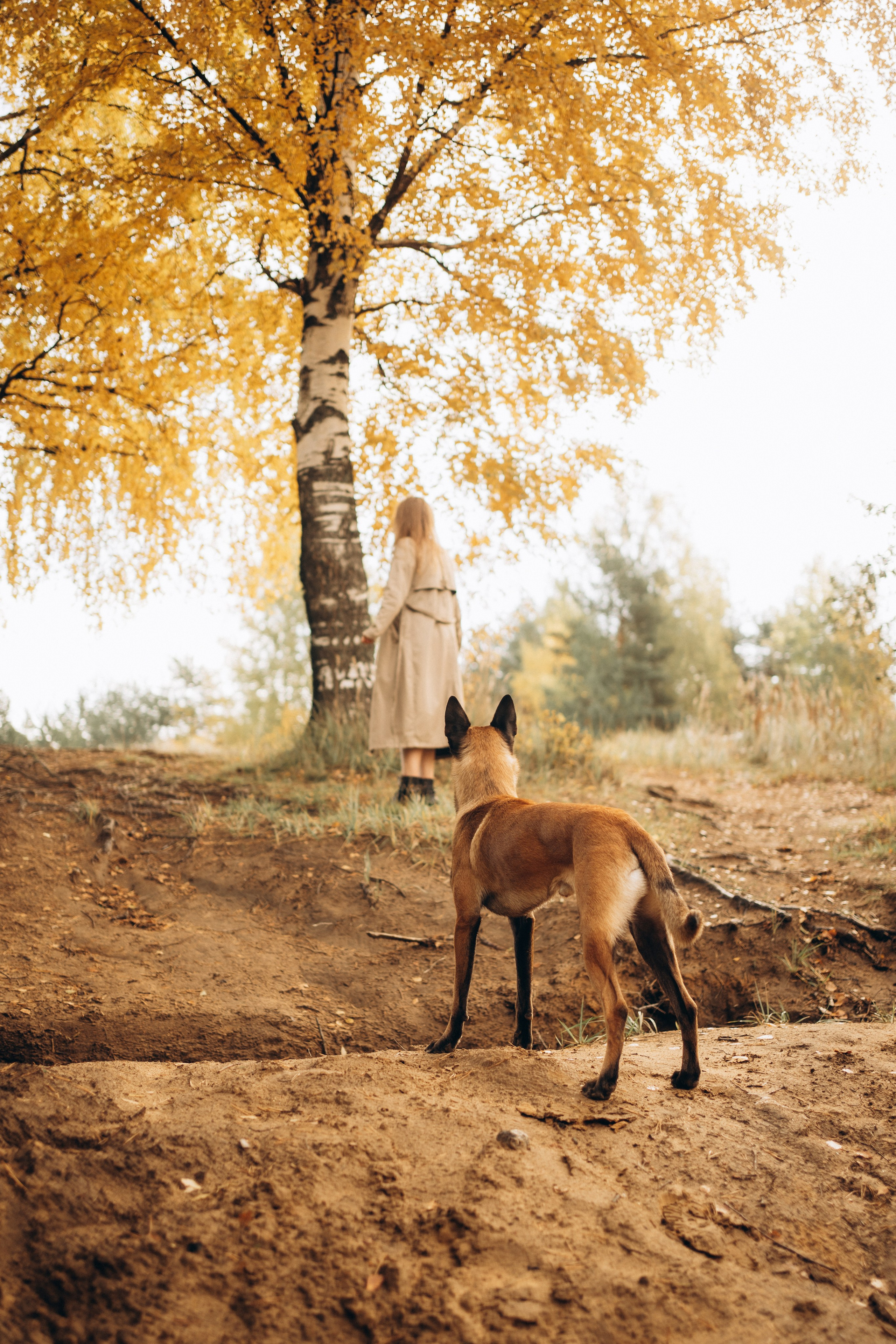 Вика и Хельс. Фотограф-анималист Анастасия Большакова