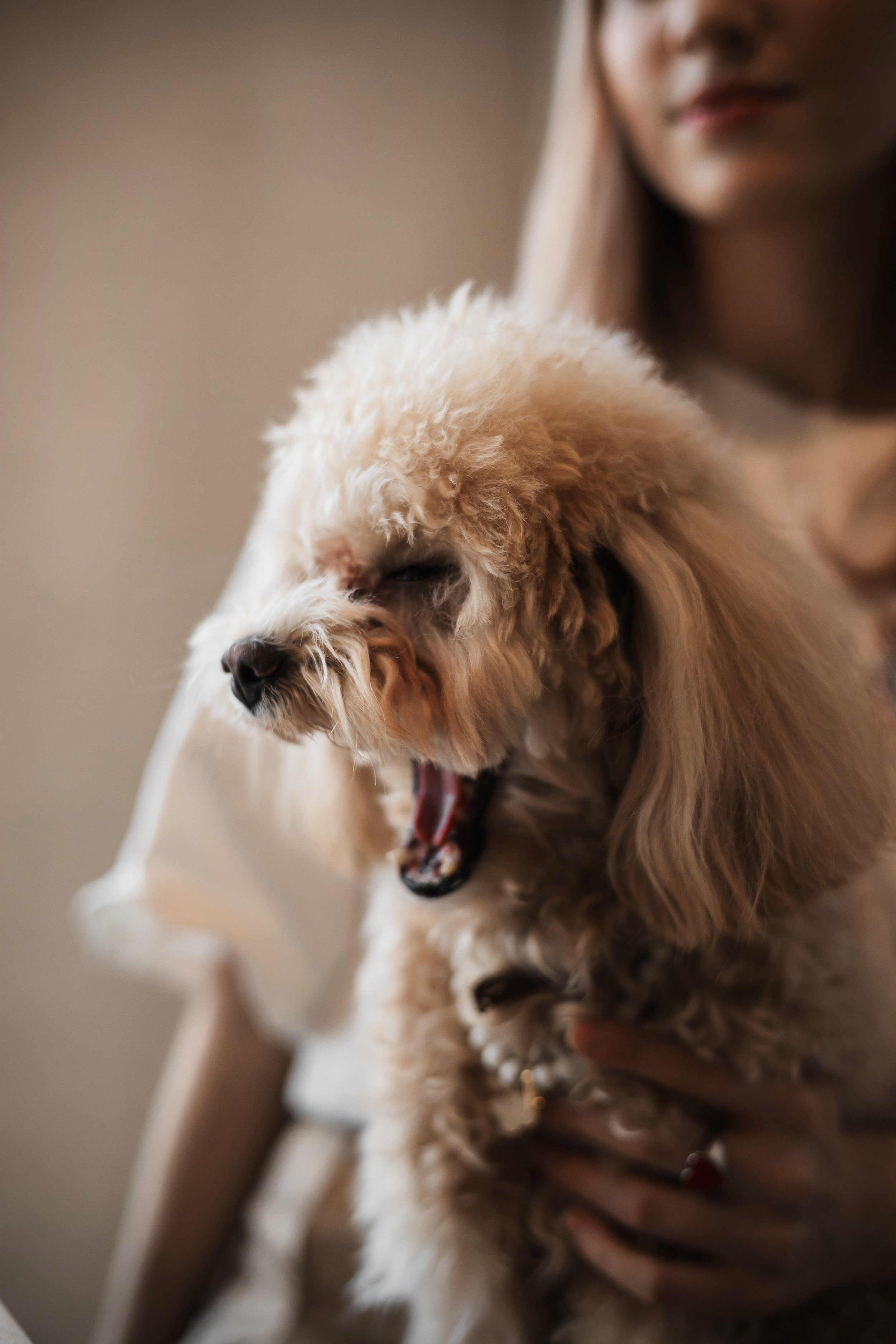 Алина — прогулка