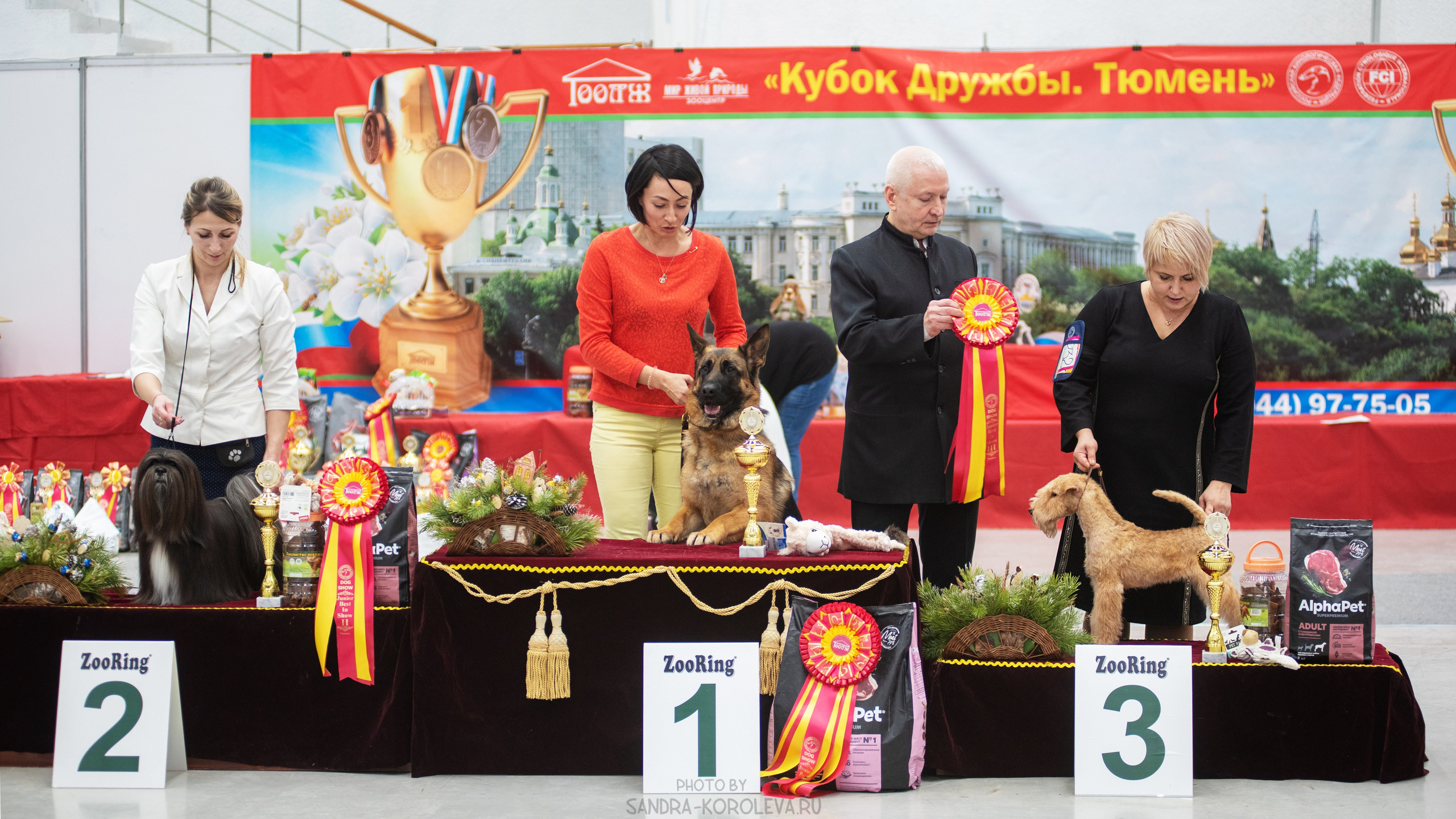 Выставка собак тюмень 14.01.2023. Дог-фотограф в Тюмени Александра Королева