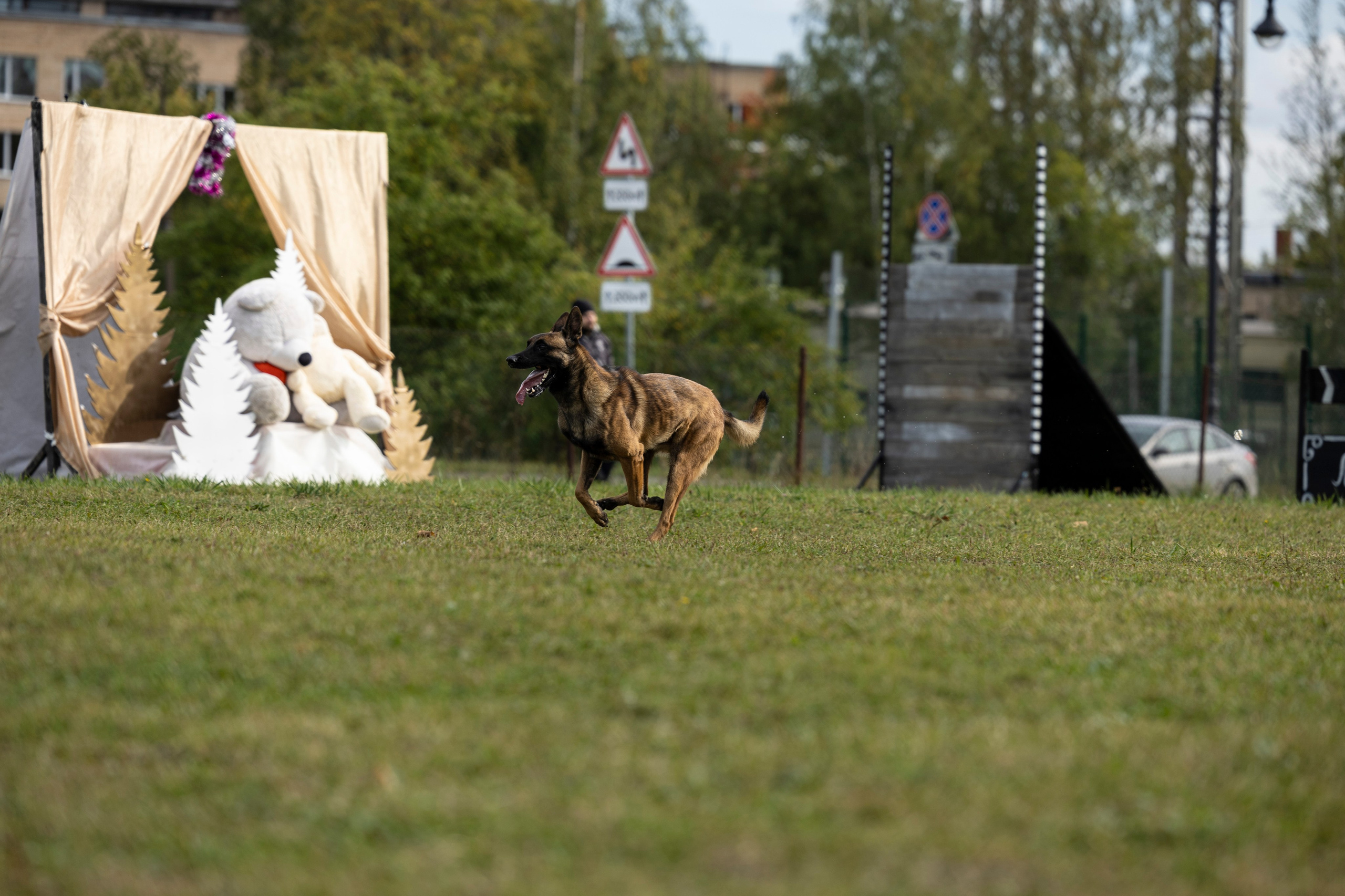 Испытания по Мондьорингу г. Пушкин. Фотограф-анималист Анна Маринич
