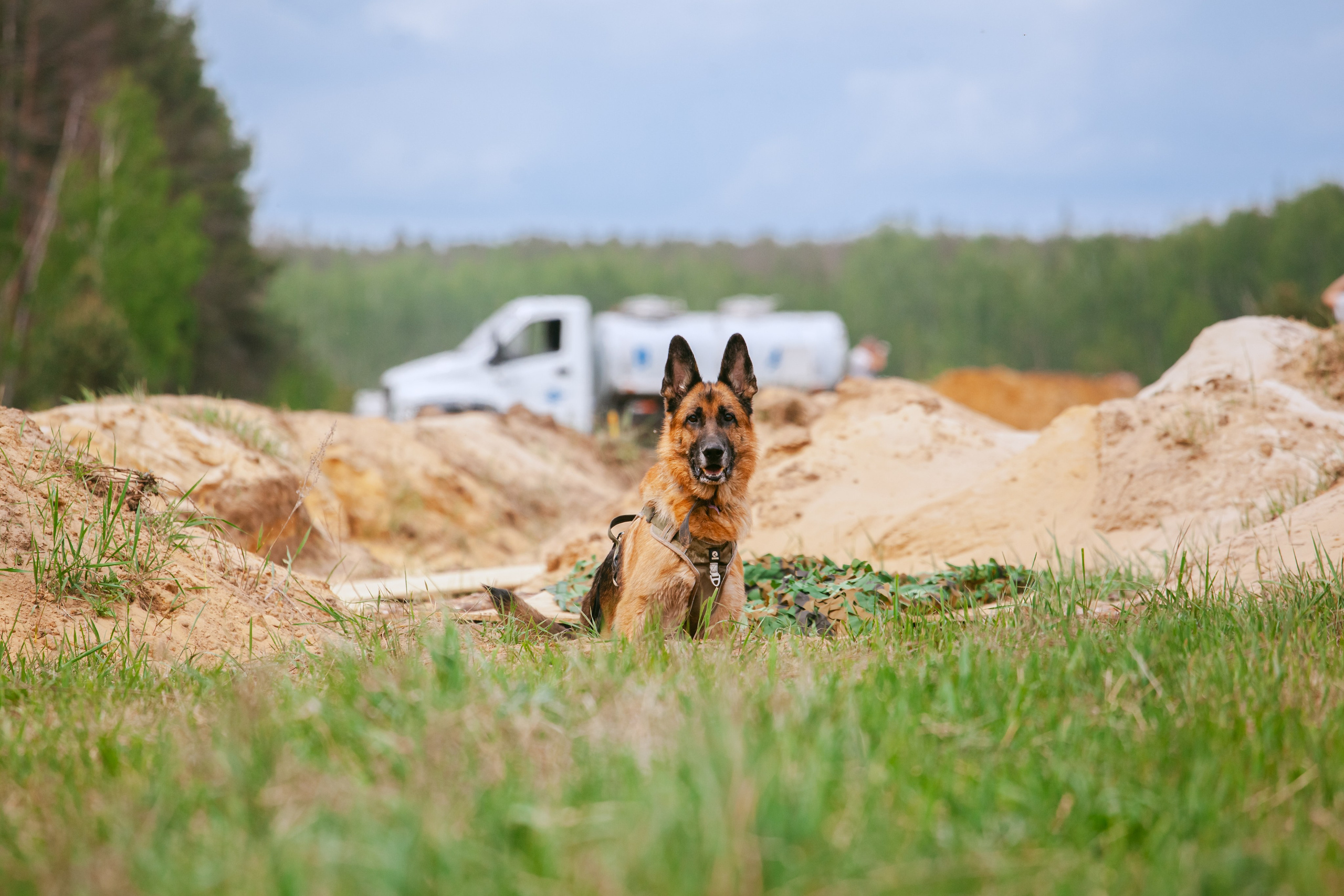 Русский экстрим кросс в Рязанской области 17.05.2025. Фотограф-анималист Татьяна Степанова