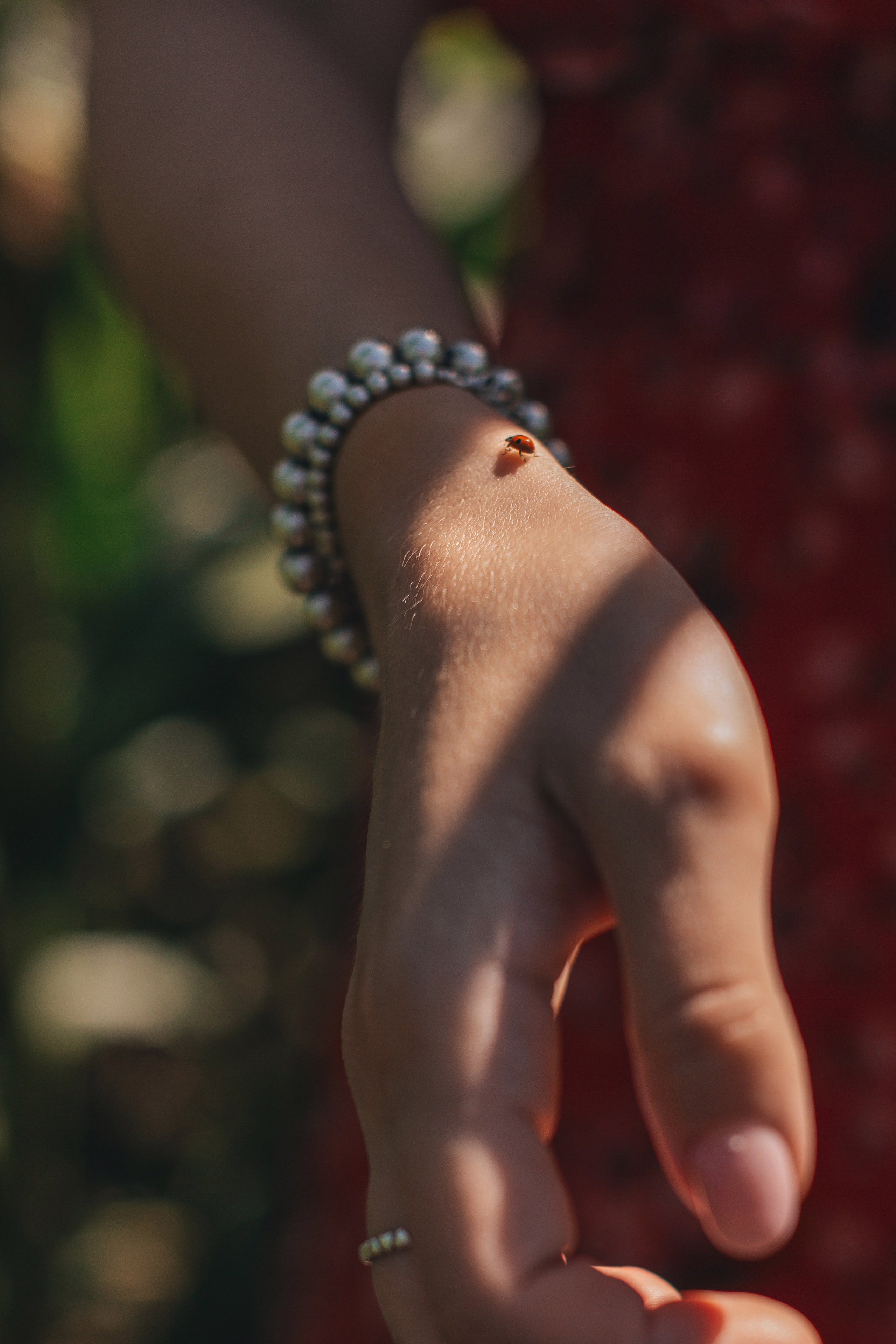 Кукуруза. Семейный и художественный фотограф в Тюмени Юлия Логинова