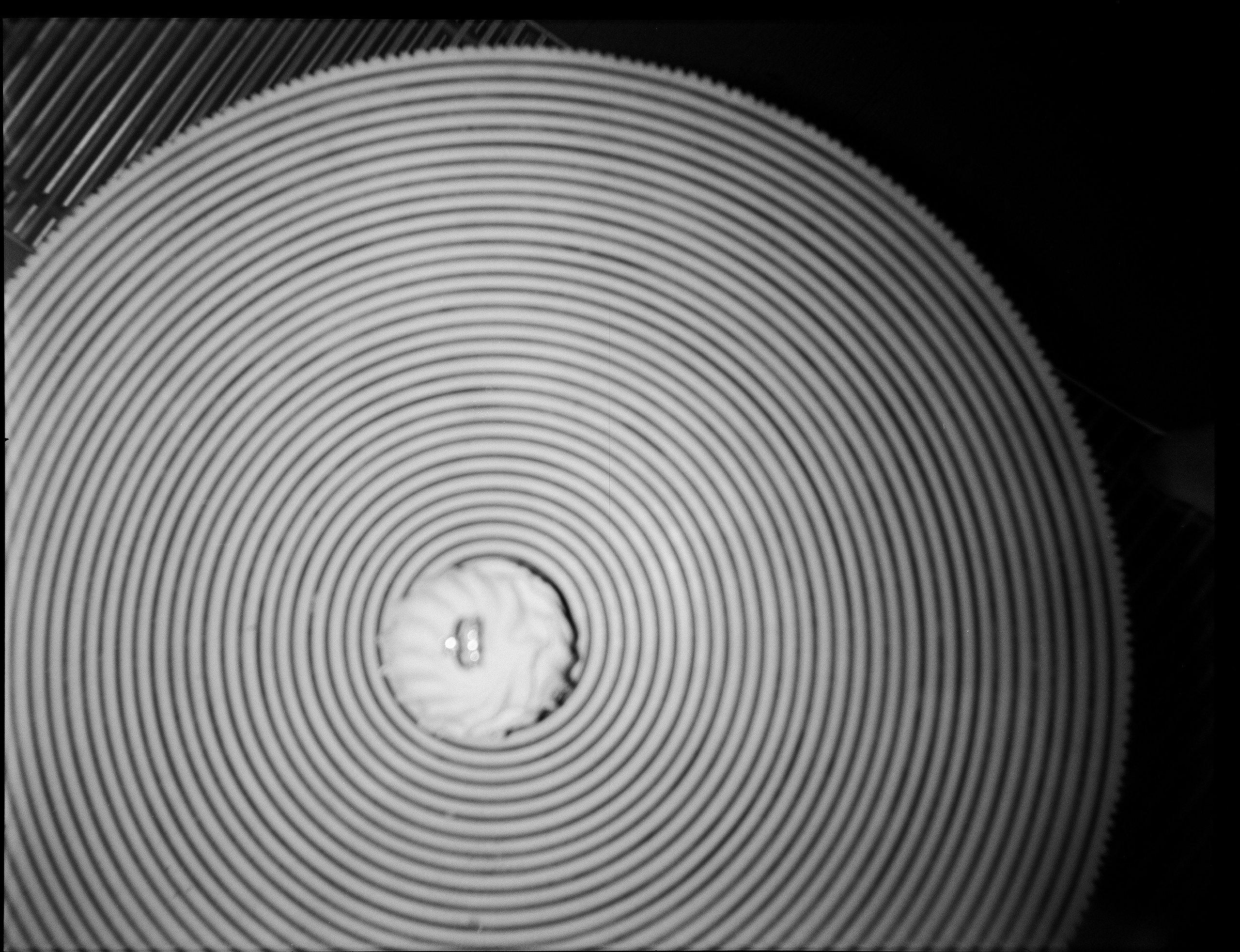 Шахноза и Мурад. Селиванова Виктория свадебный фотограф