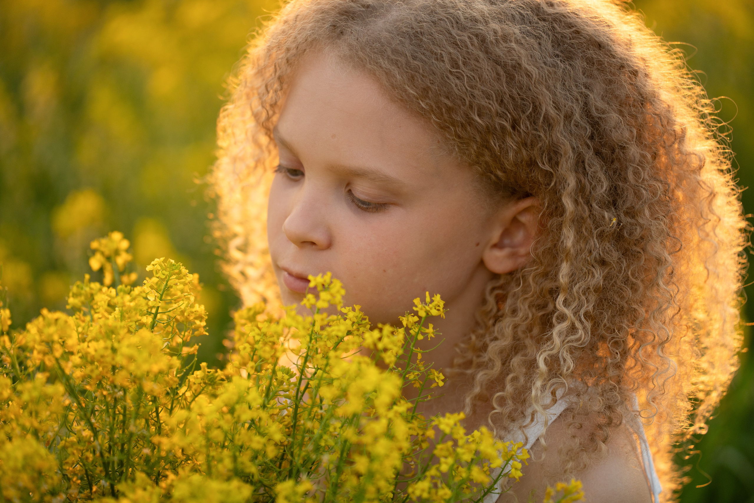 Детский портрет в летнем  желтом поле на закате. Контровой свет подсвечивает кудрявые волосы модели.