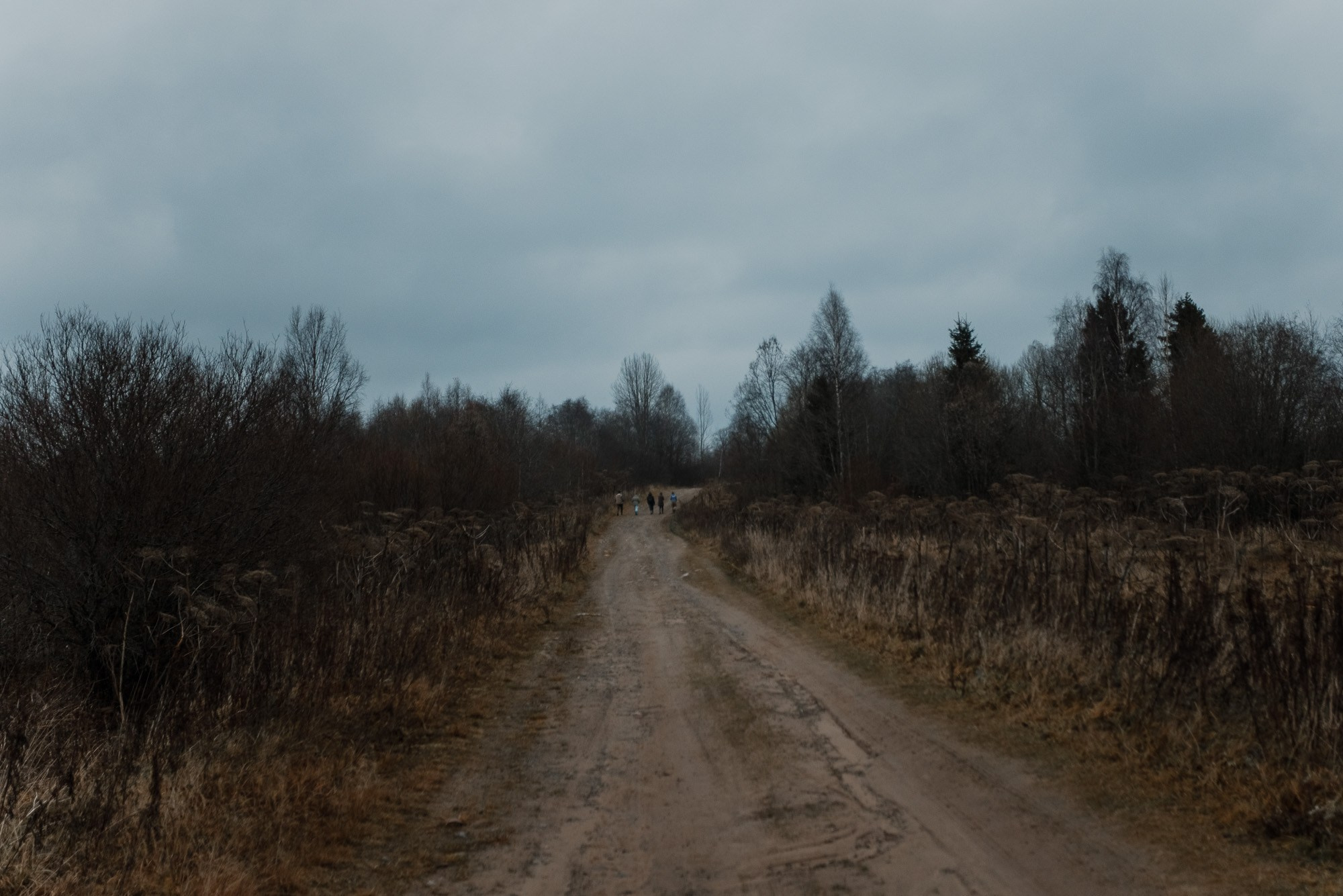 Поездка в вепсские деревни к «Лес и Ветер» 10-12.11.23. Портретный и свадебный фотограф в Санкт-Петербурге Ольга Филиппова