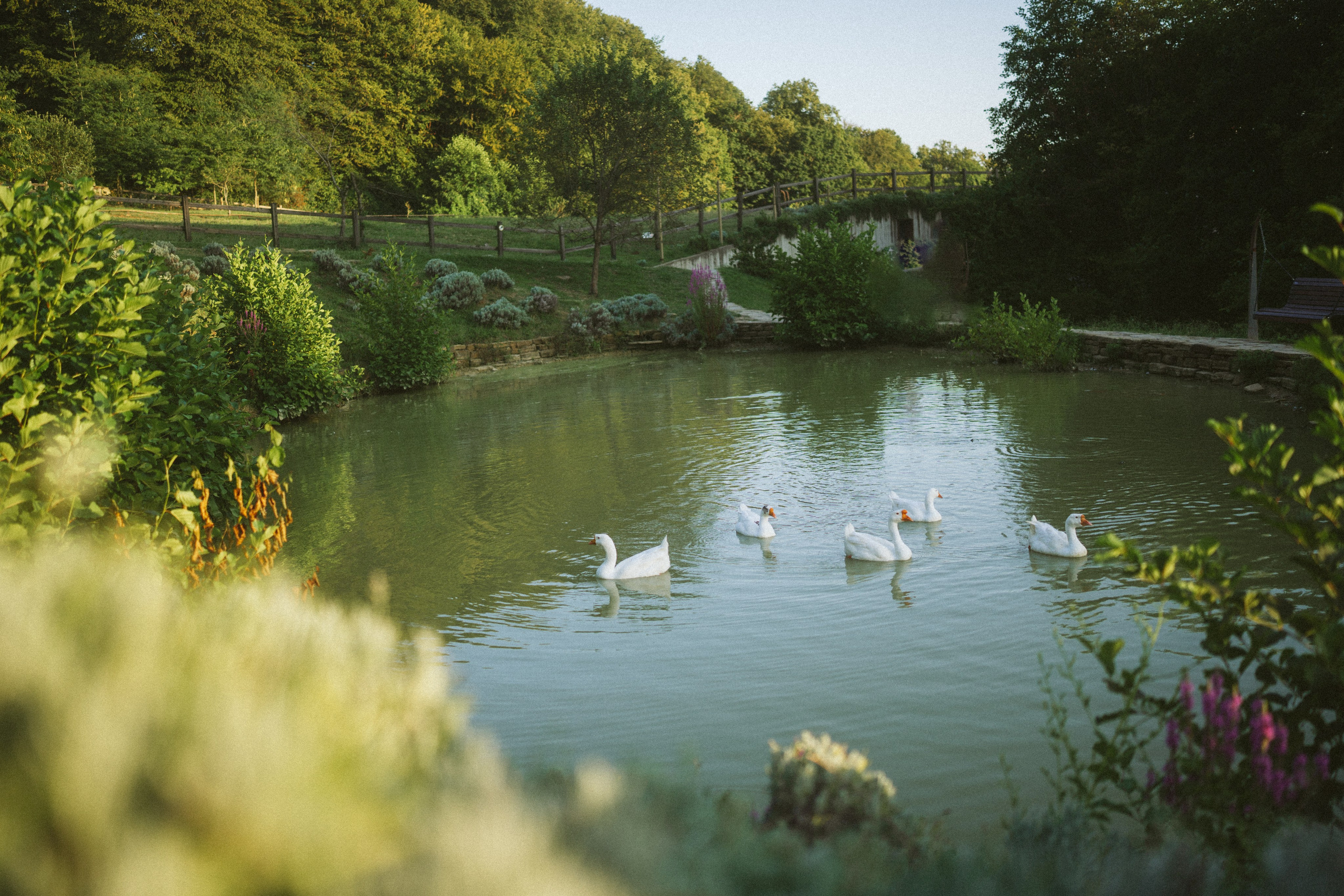 43. Фотограф Батуми | Ксения Кинасова