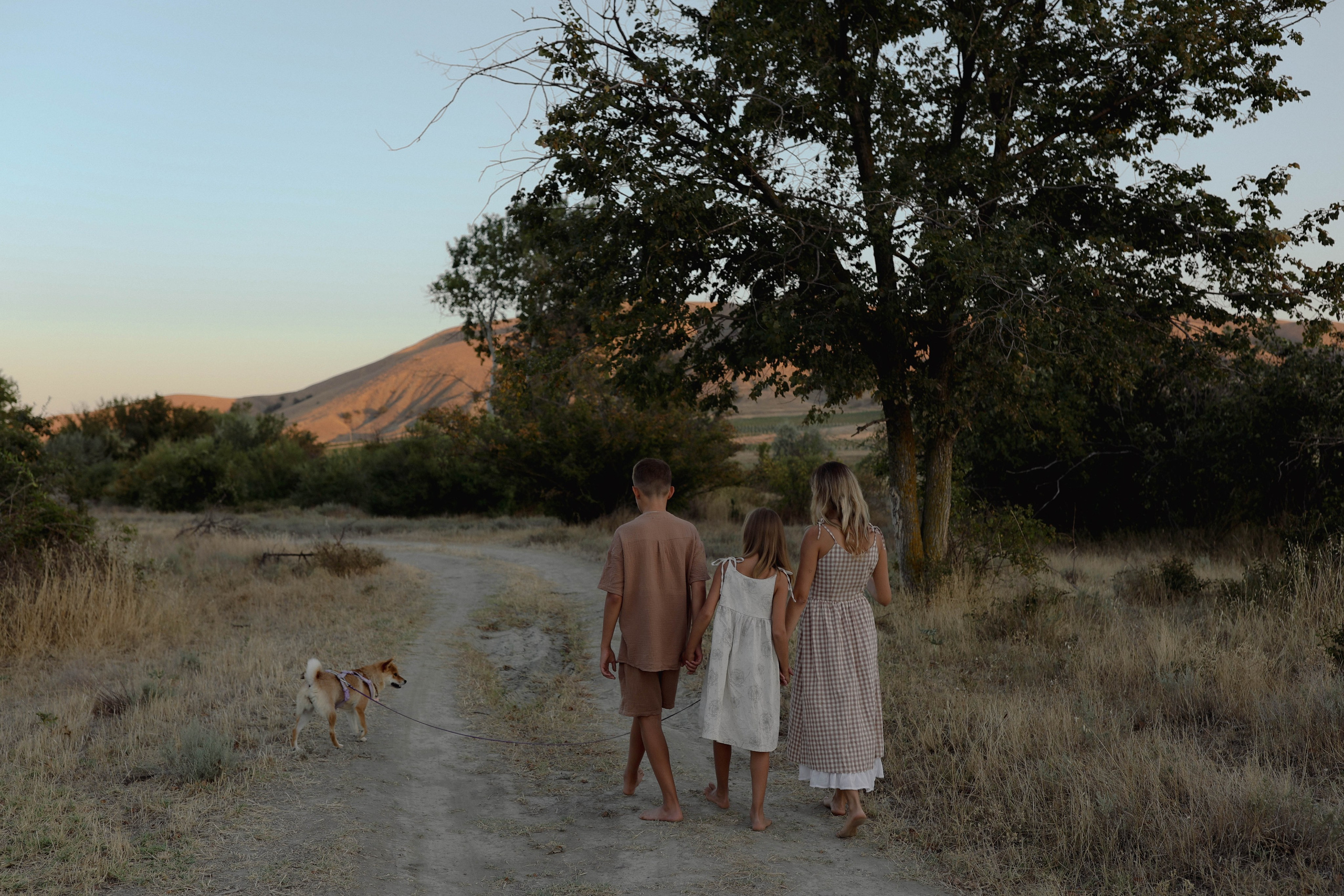 Один день из жизни Пуси. Свадебный и семейный фотограф Судак, Крым, Симферополь, Феодосия, Коктебель и по России
