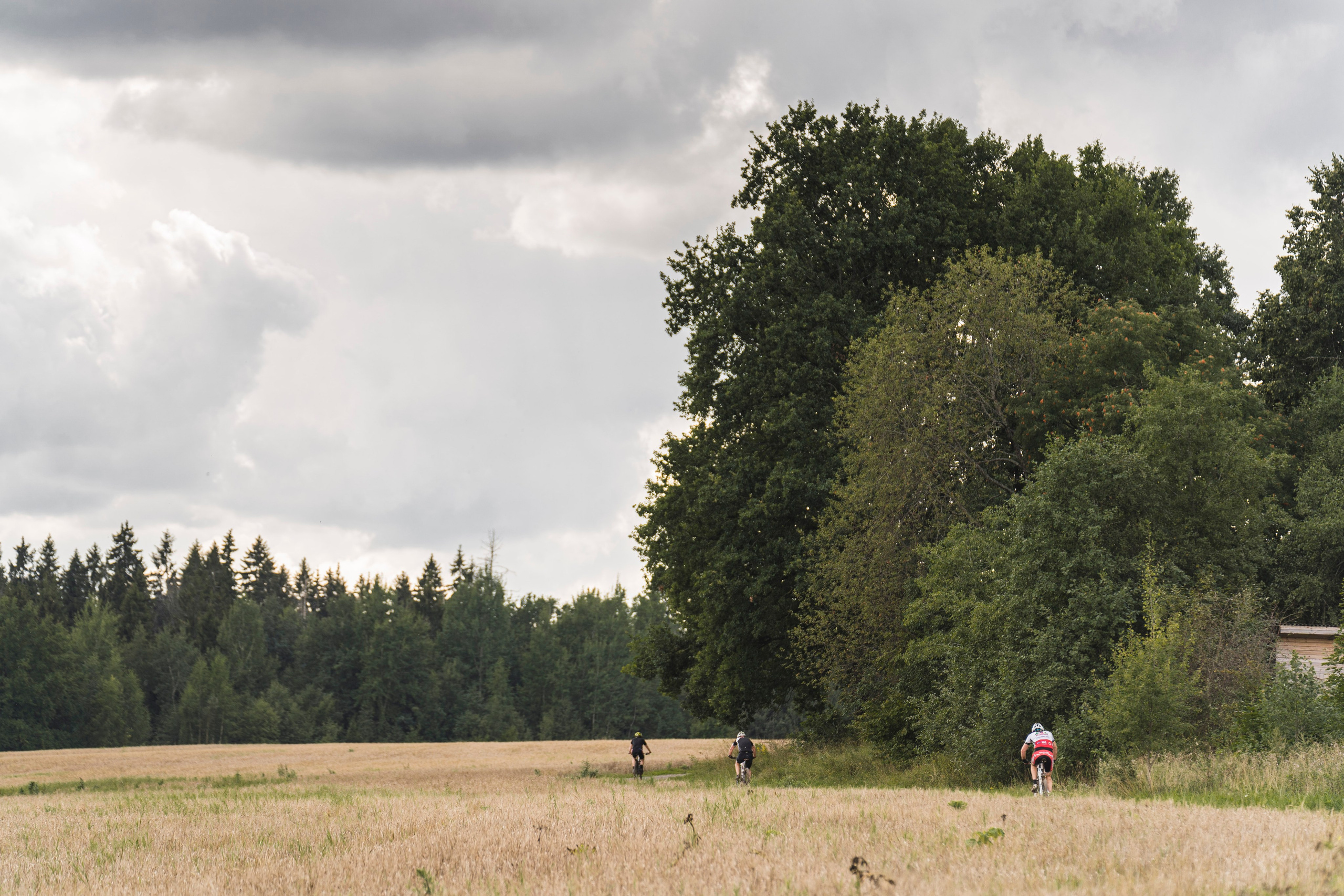 Спорт. Фотограф в Москве Маленкова Дарья