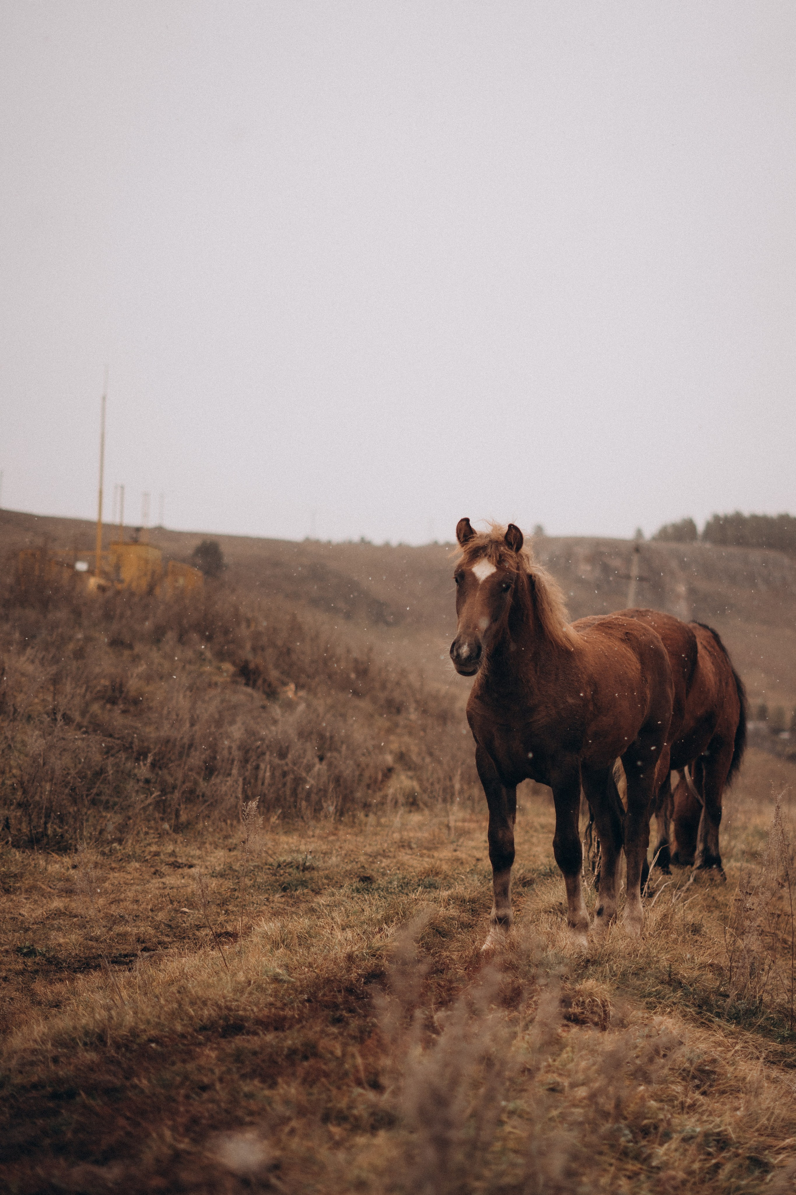 Саша и Матвей. Главная