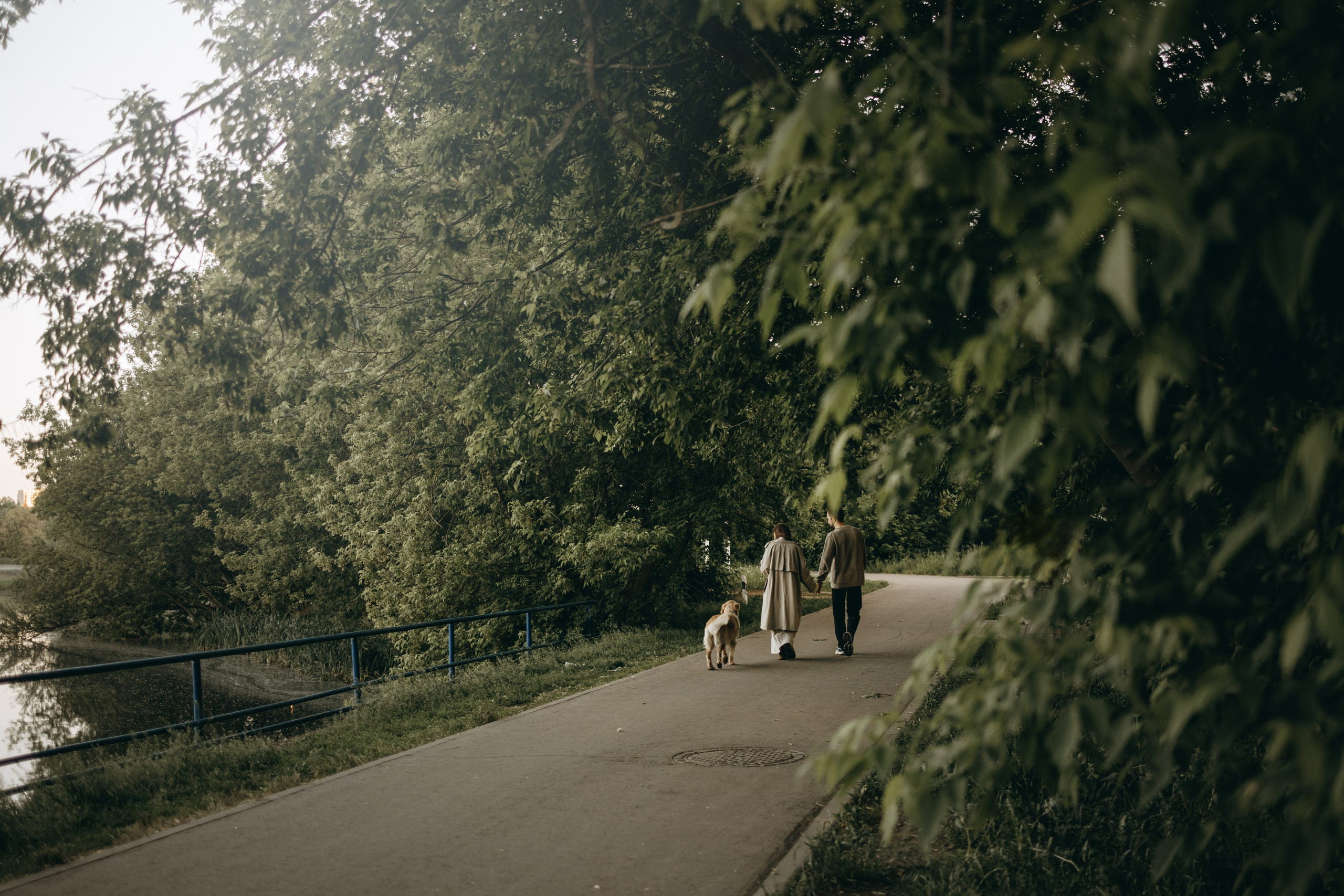 Пенни и ребята. Фотограф — Анималист | Санкт-Петербург