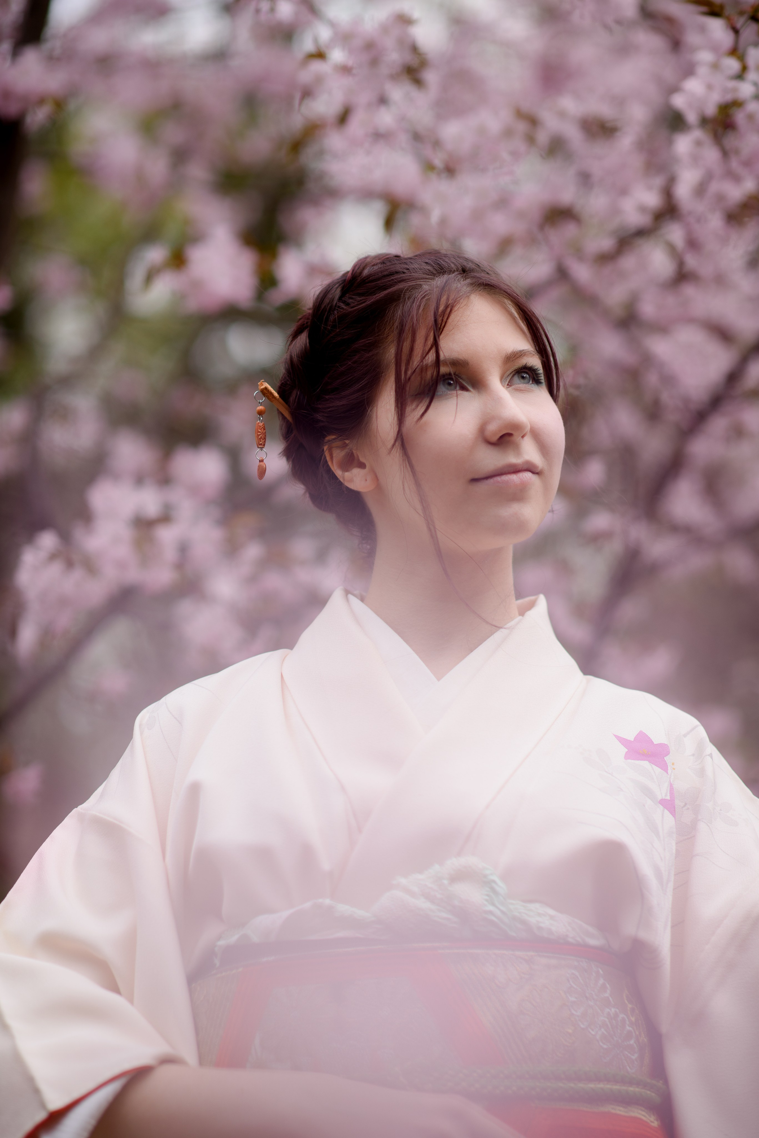 Любование сакурой в Бирюлевском дендропарке. Главная