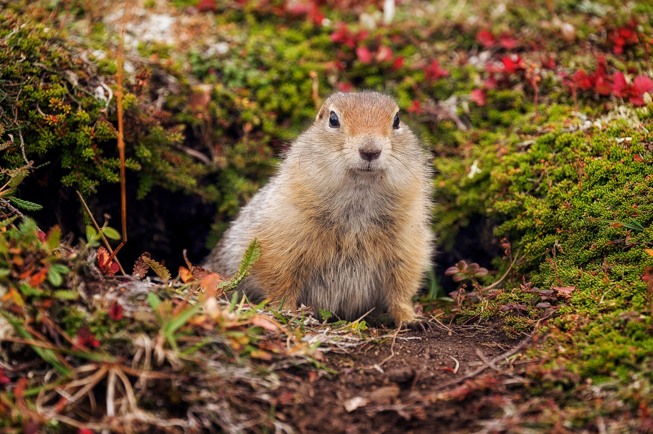Камчатка. Портретный фотограф в Челябинске Катерина Руди