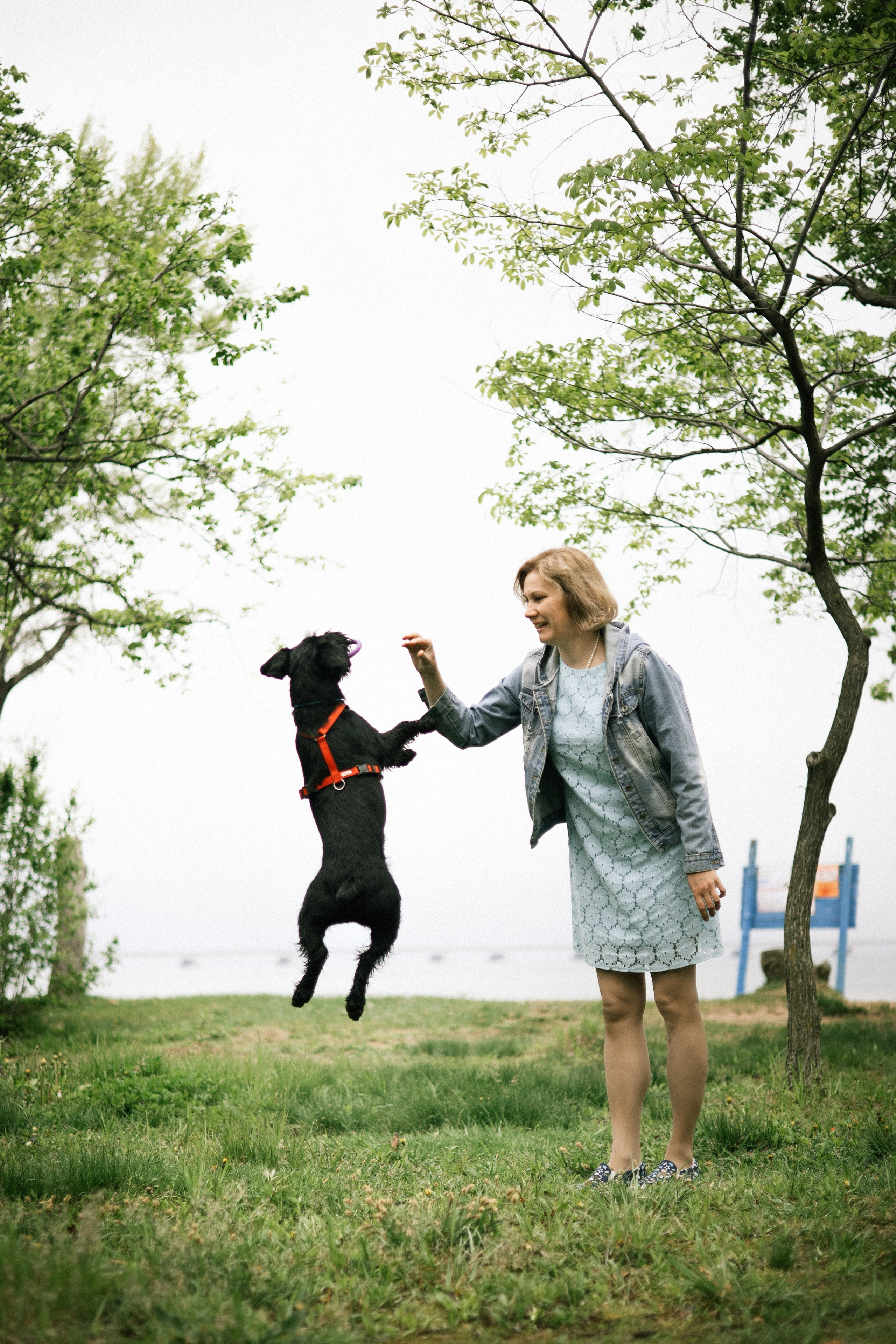 Екатерина и Вольт. Фотограф — анималист Владивосток, Алина