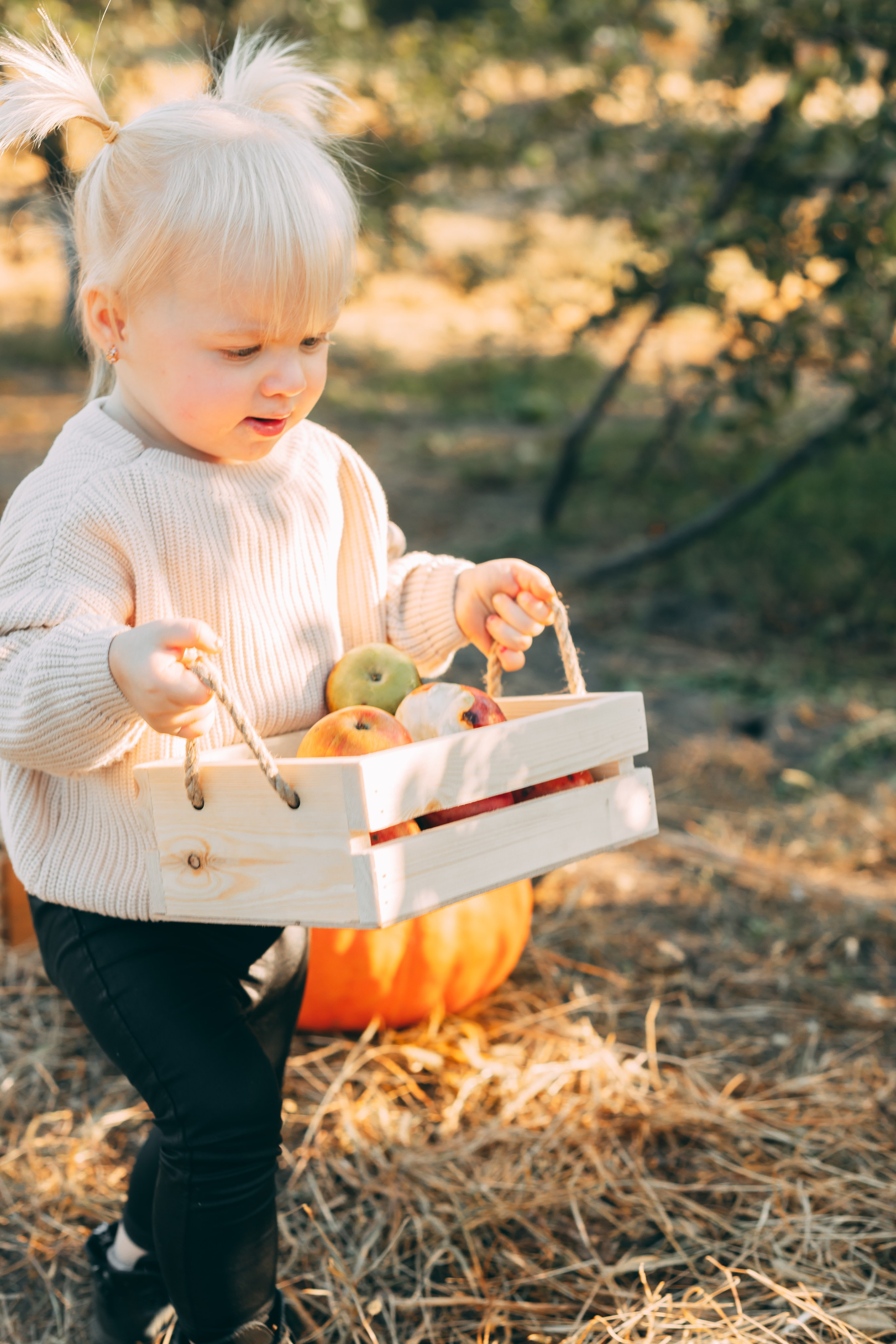 Детская фотосессия в тыквах. Свадебный и семейный фотограф в Краснодарском крае Мария Данилкина
