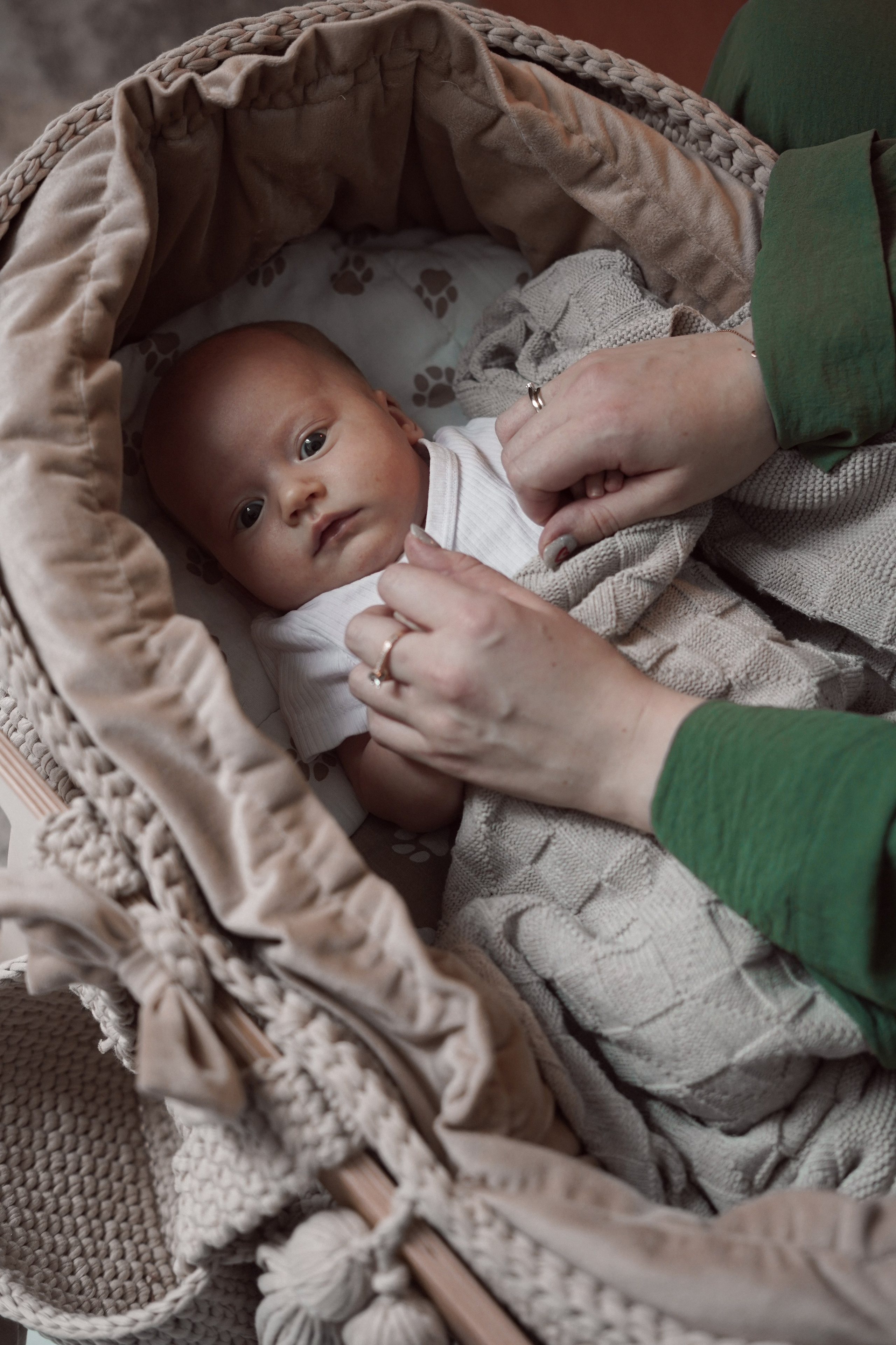 Алиса. Свадебный и портретный фотограф в Санкт-Петербурге Софья Каркачева