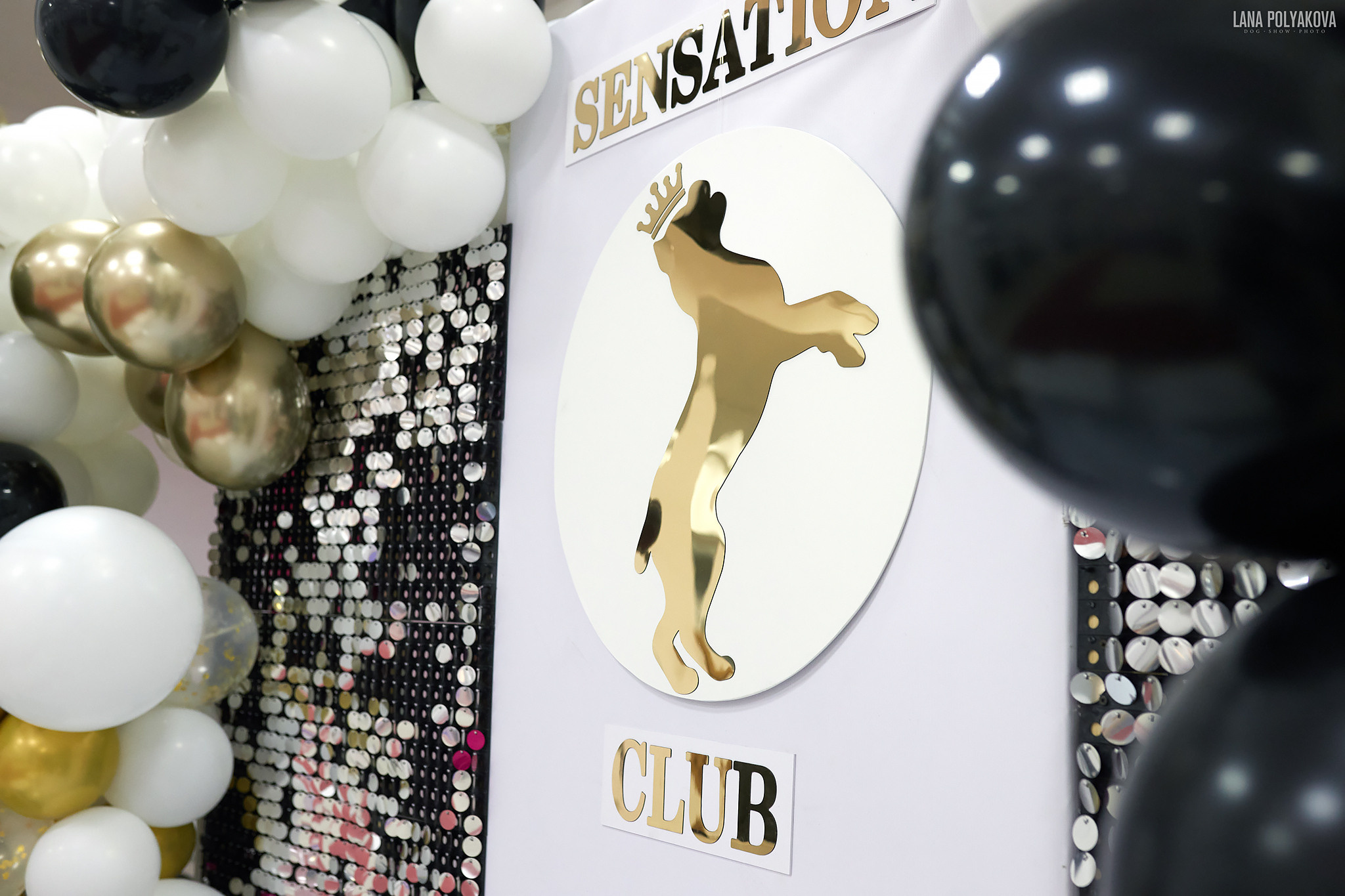 18.09.22 ВЫСТАВКА СОБАК ВСЕХ ПОРОД (CAC, ЧФ) «СЕНСАЦИЯ-2022». Кинологический клуб РКФ РФСС СЕНСАЦИЯ