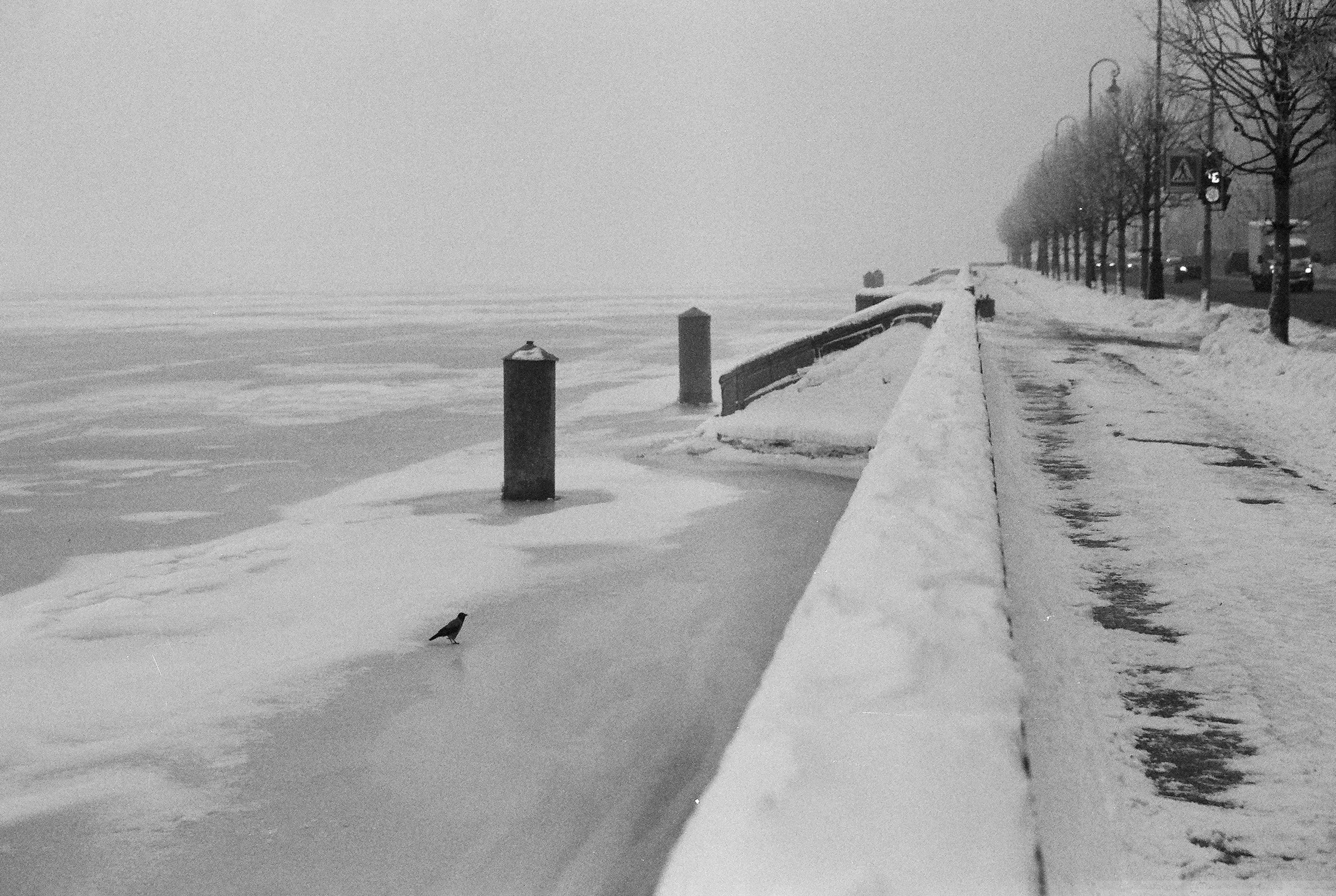 Фотографии черно-белые. Свадебный и семейный пленочный фотограф в Петербурге Истомина Ирина
