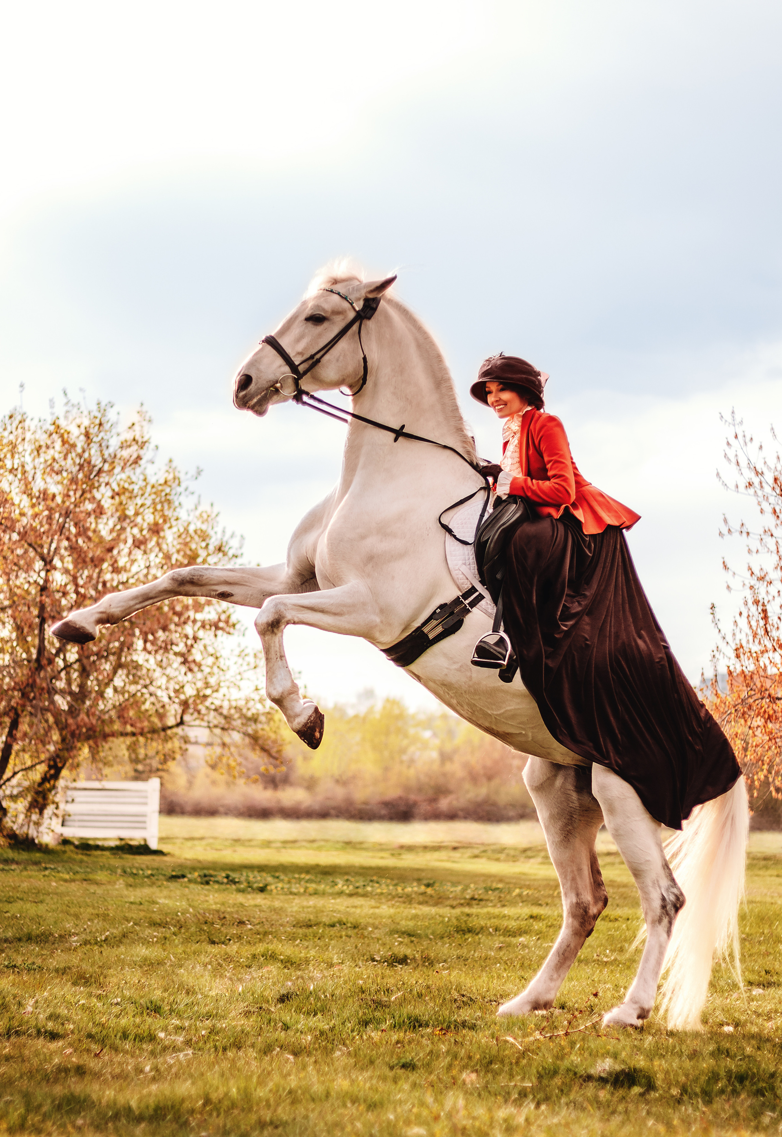 Фотопроект «Конный Двор». Ирина Ананич. Фотограф в Красноярске