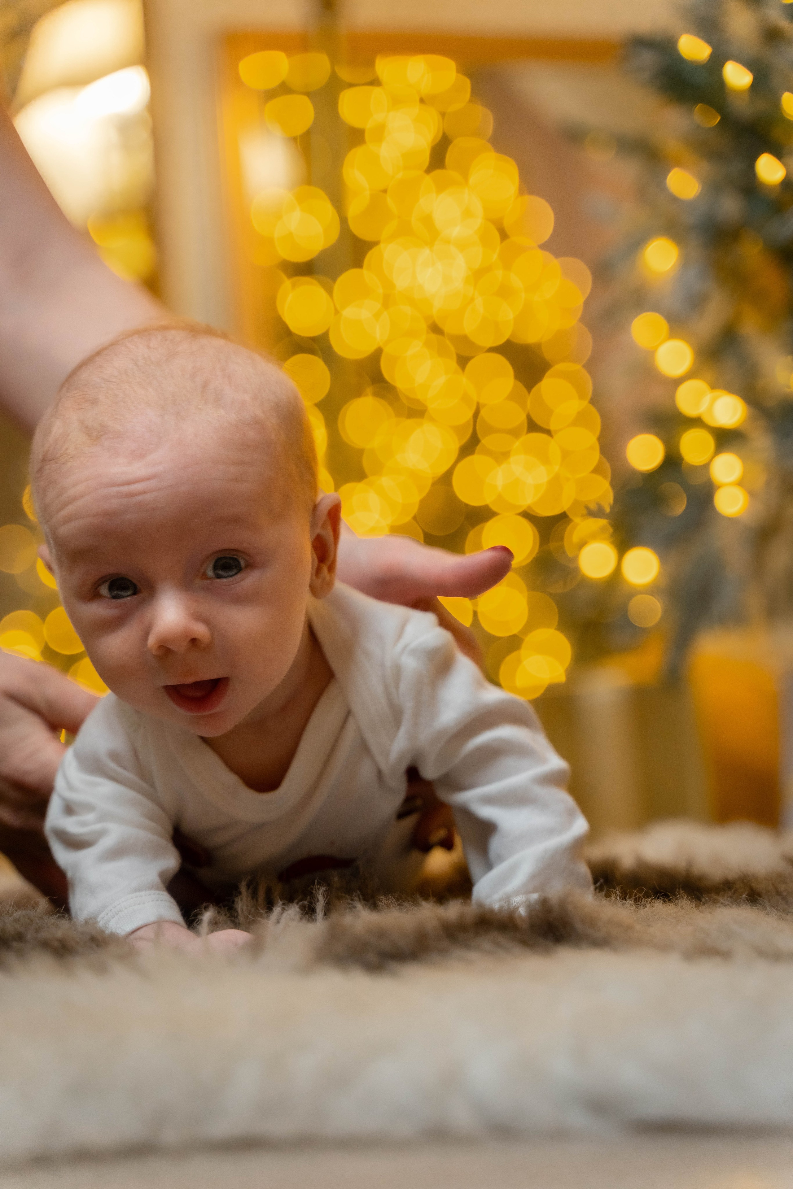 Семейная новогодняя фотосессия. ALISON FILMS