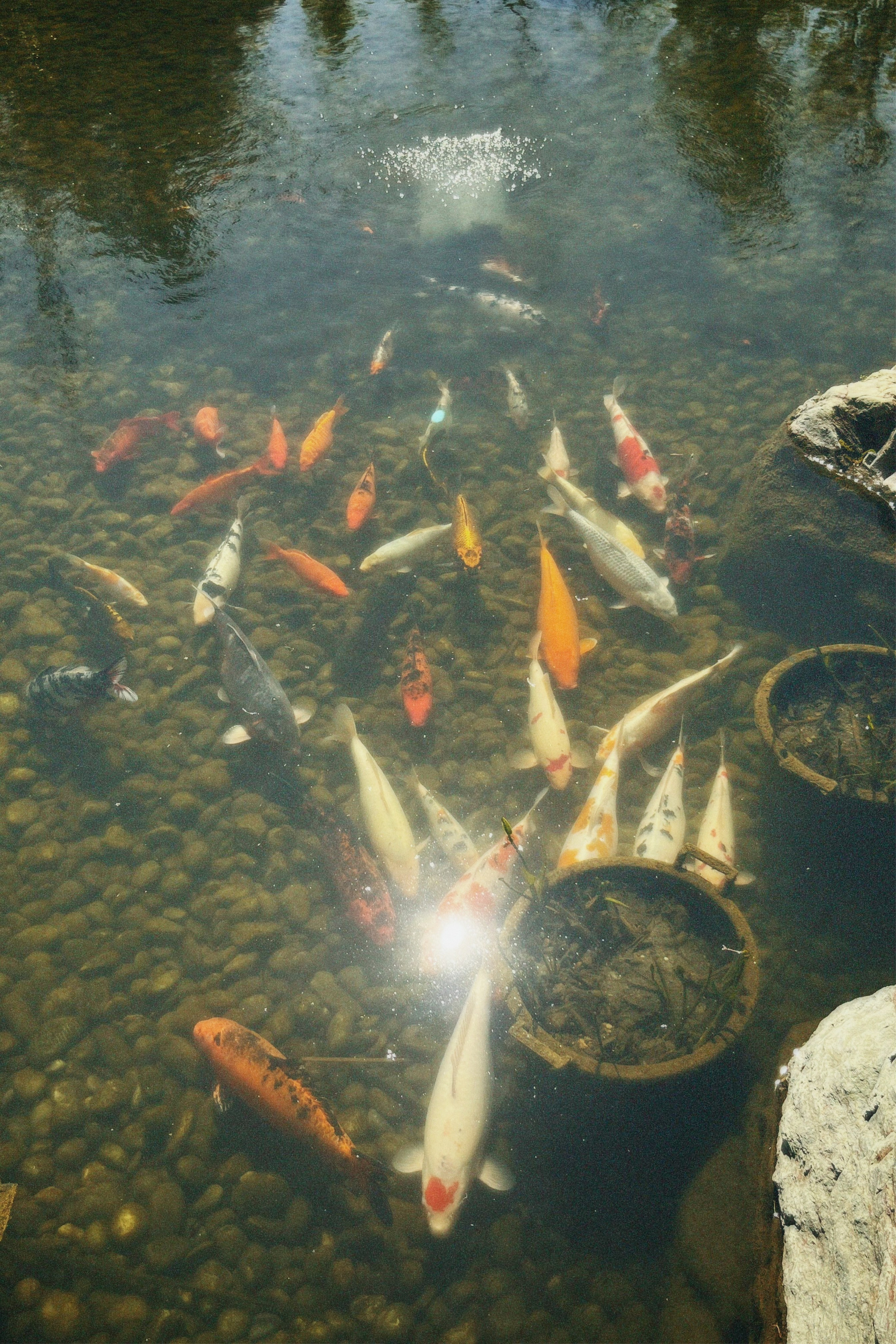 КРАСНОДАР. Портретный и лавстори фотограф в Стерлитамаке Альбина Шарт