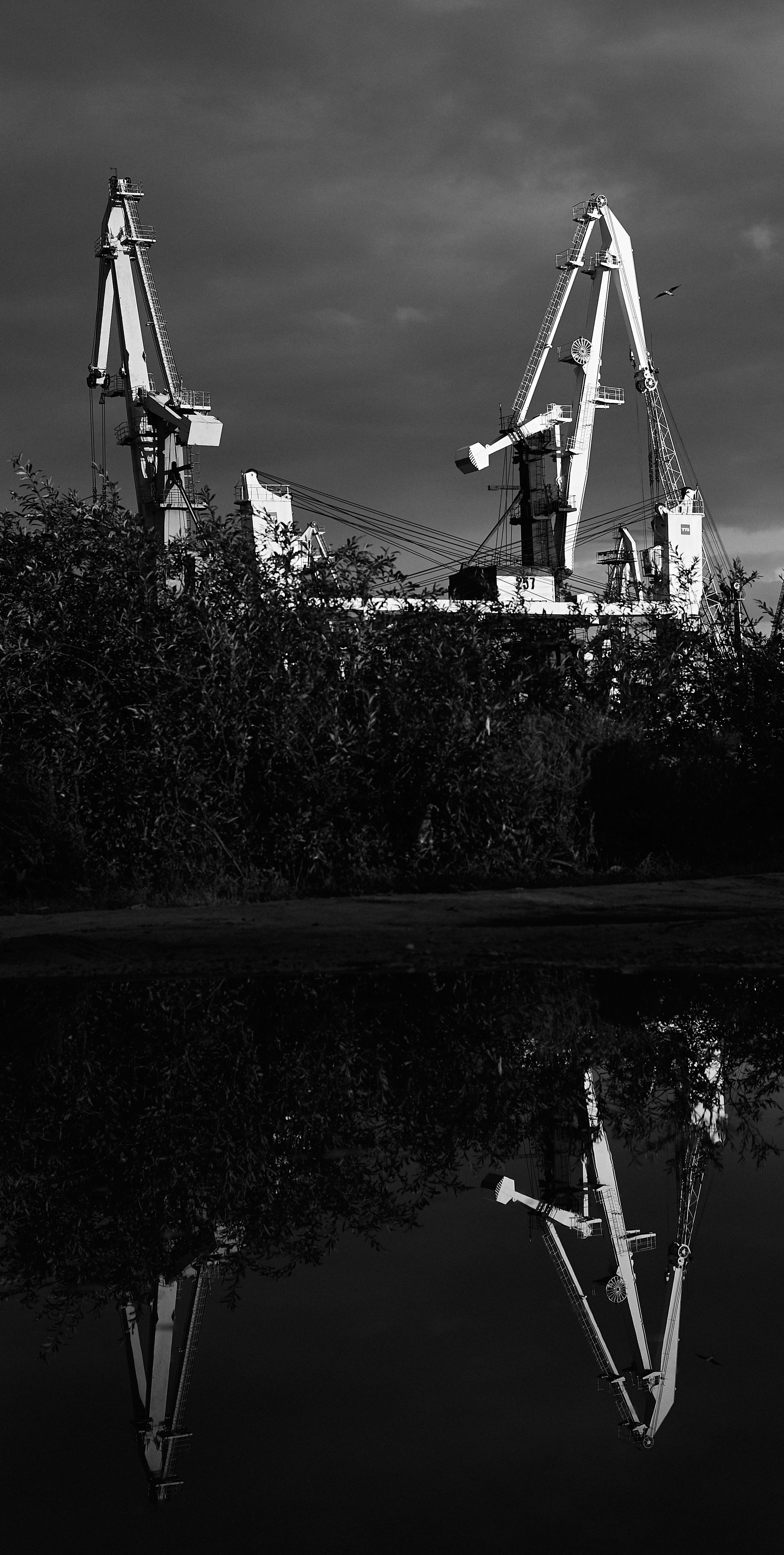 Разное. Фотограф Анастасия Федорова  Санкт-Петербург