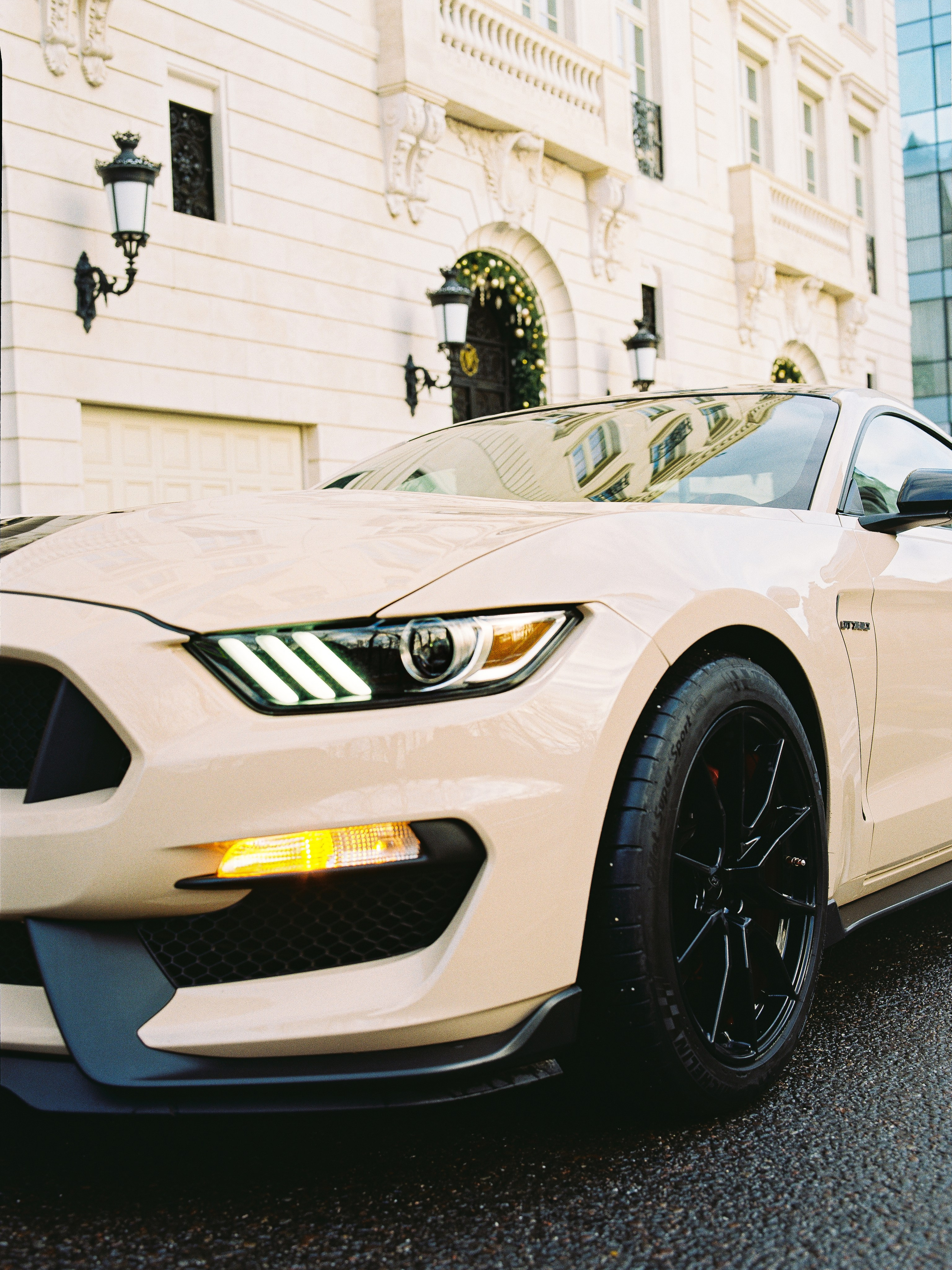 Ford Shelby. Fokysphoto