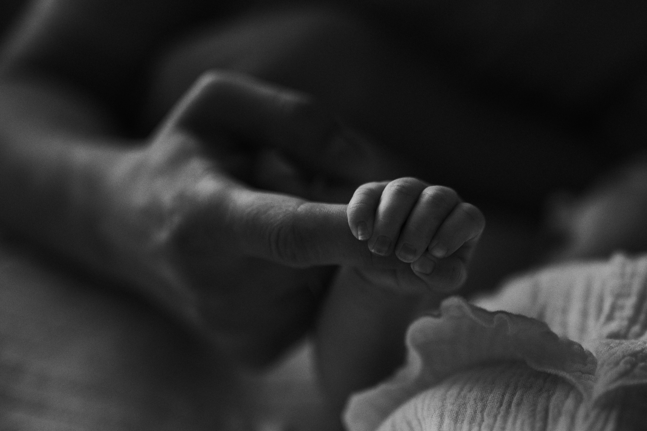 Катя, Ариша, Антон, Артем. Www.ostermiller.ru