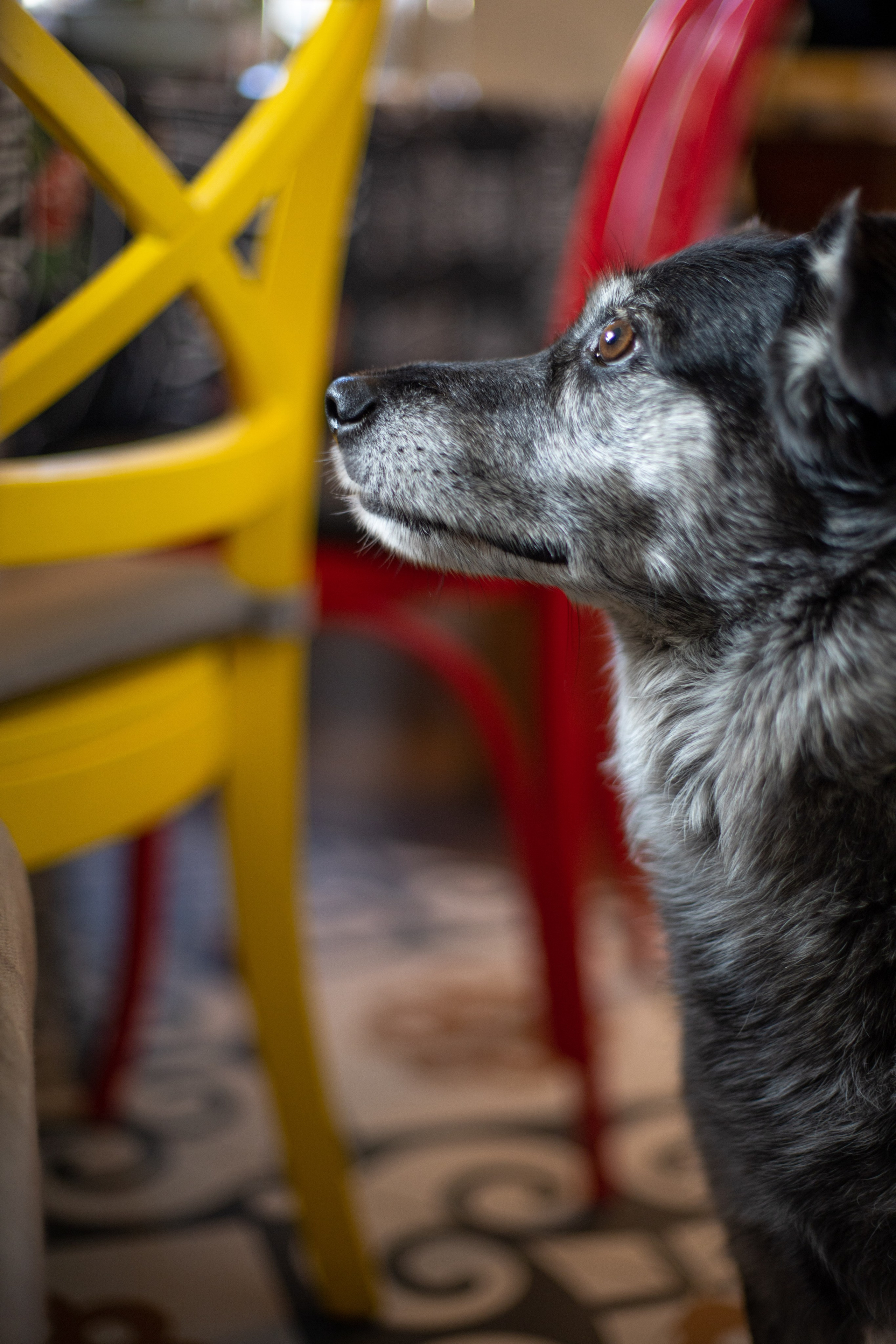 День рождения Оксаны. SaGaFOTO.ru