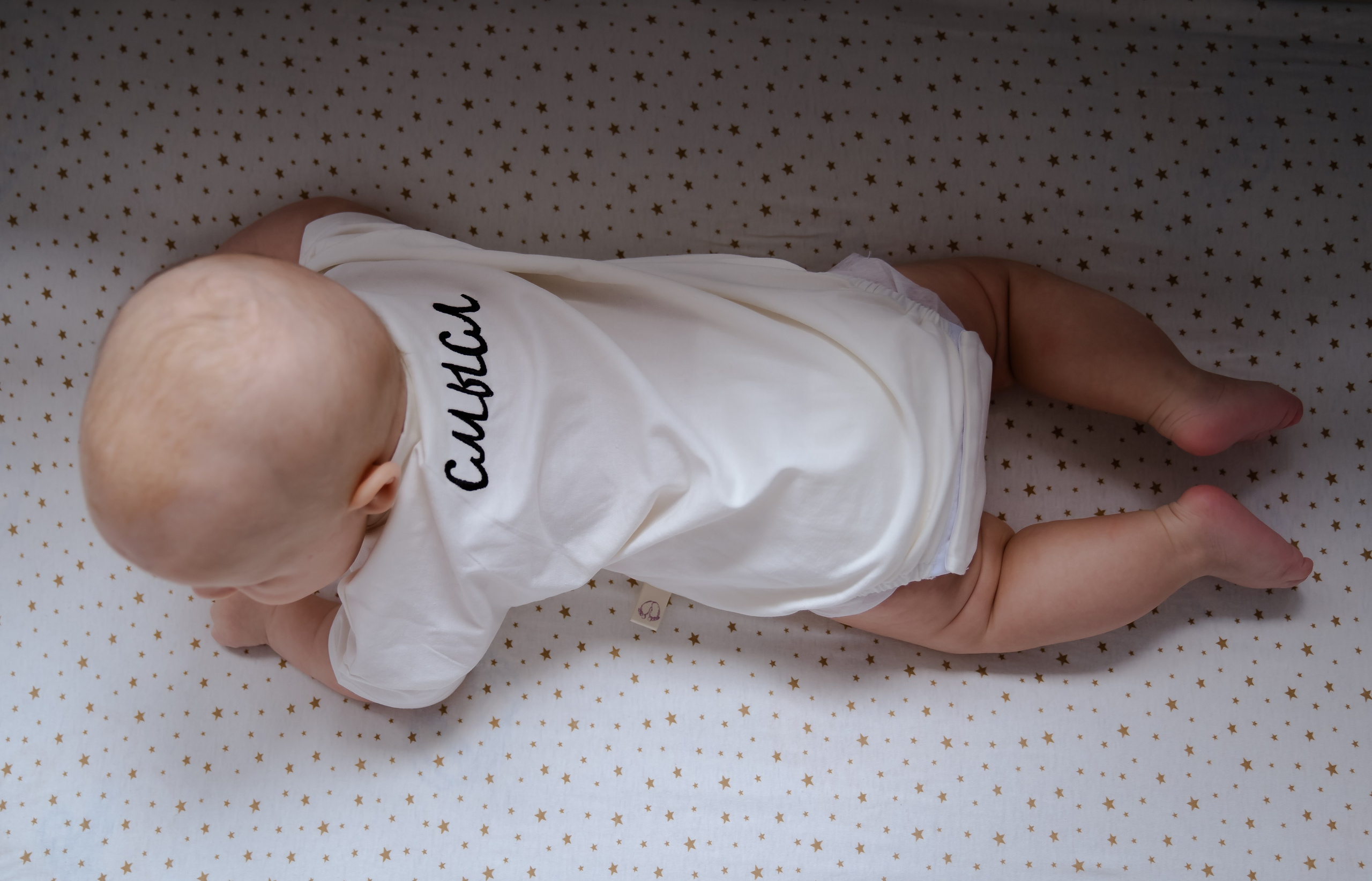 Кроха. Фотограф в Ростове-на-Дону Анна Малахова