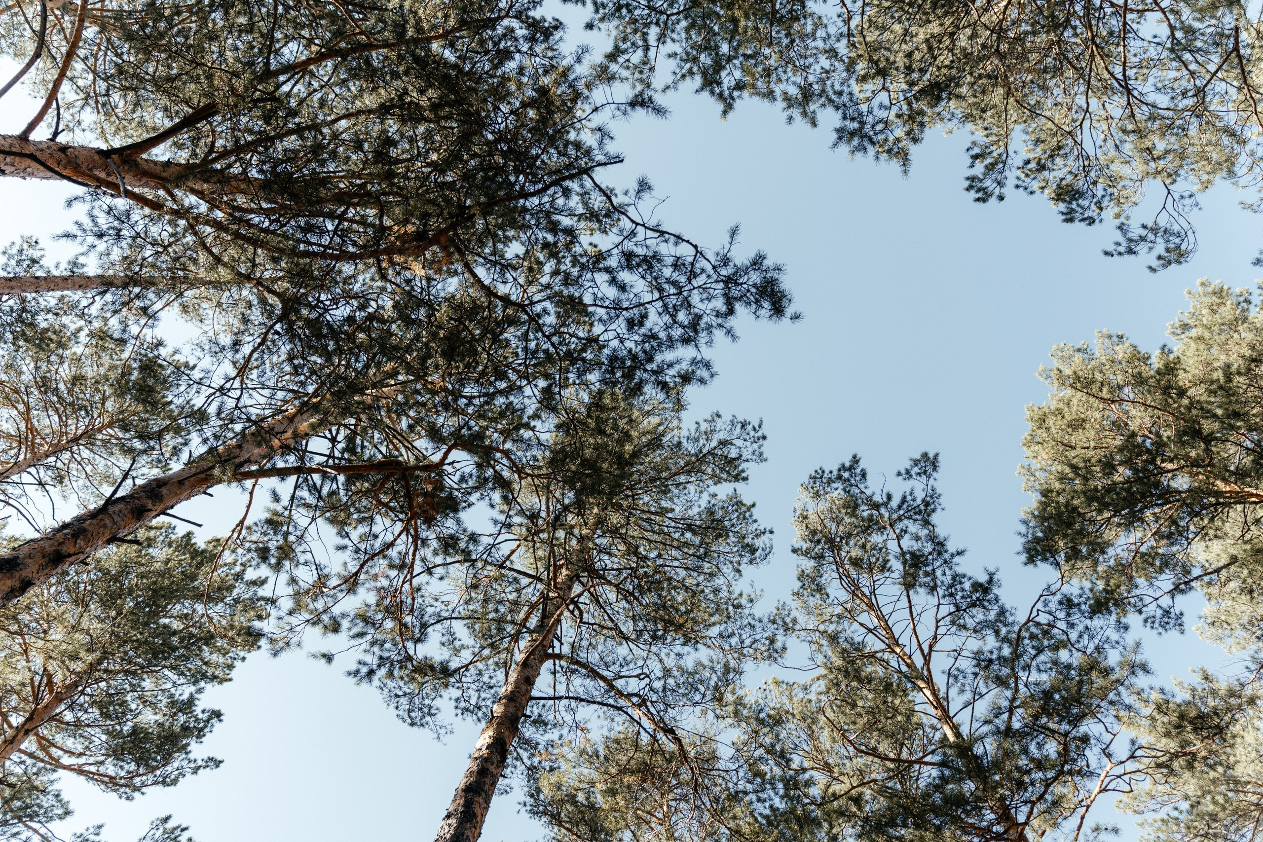 Осенний день. Свадебный Фотограф Чита Малахов Филипп
