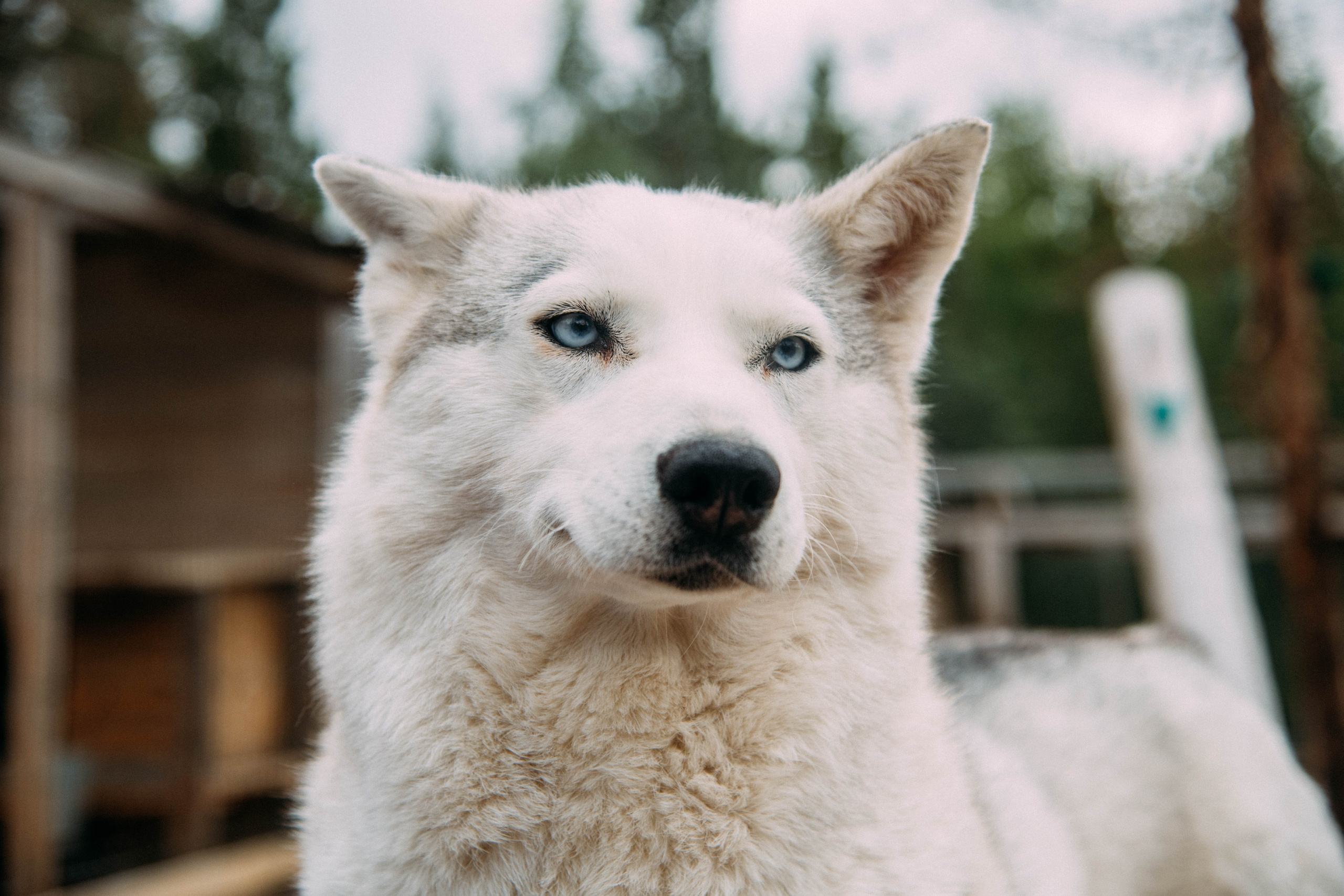 Кольский полуостров. Фотографирую для себя, своей семьи и друзей!