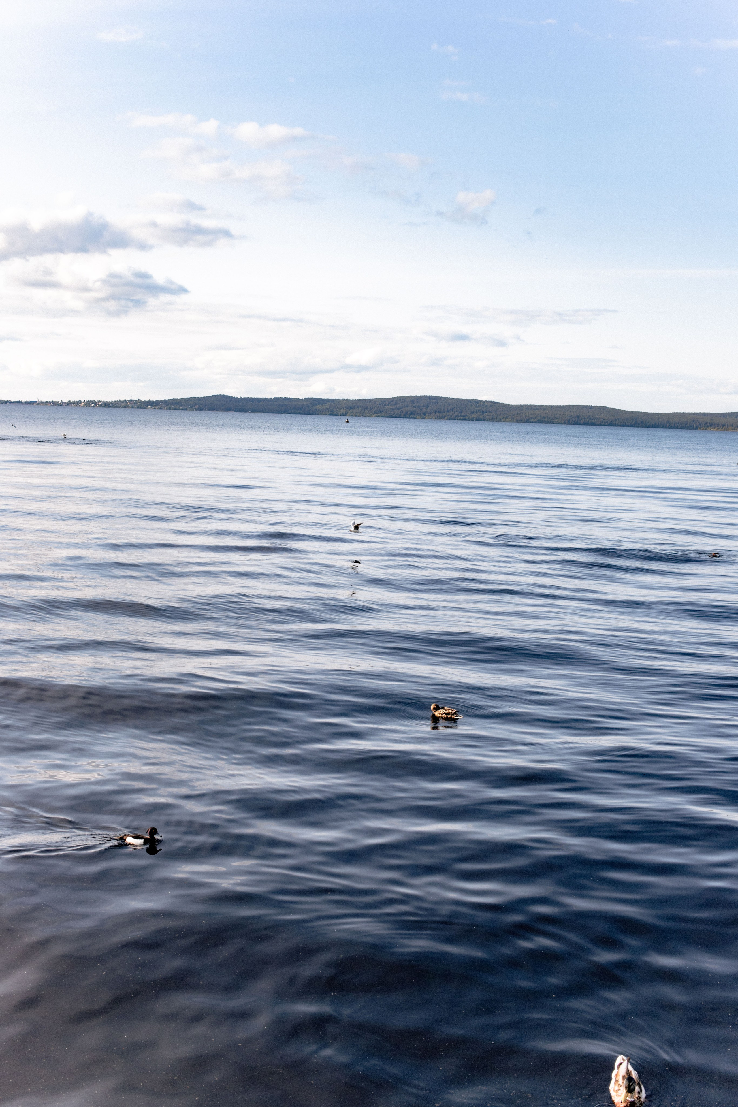Карелия. Фотограф в Минске Анастасия Ткаченко