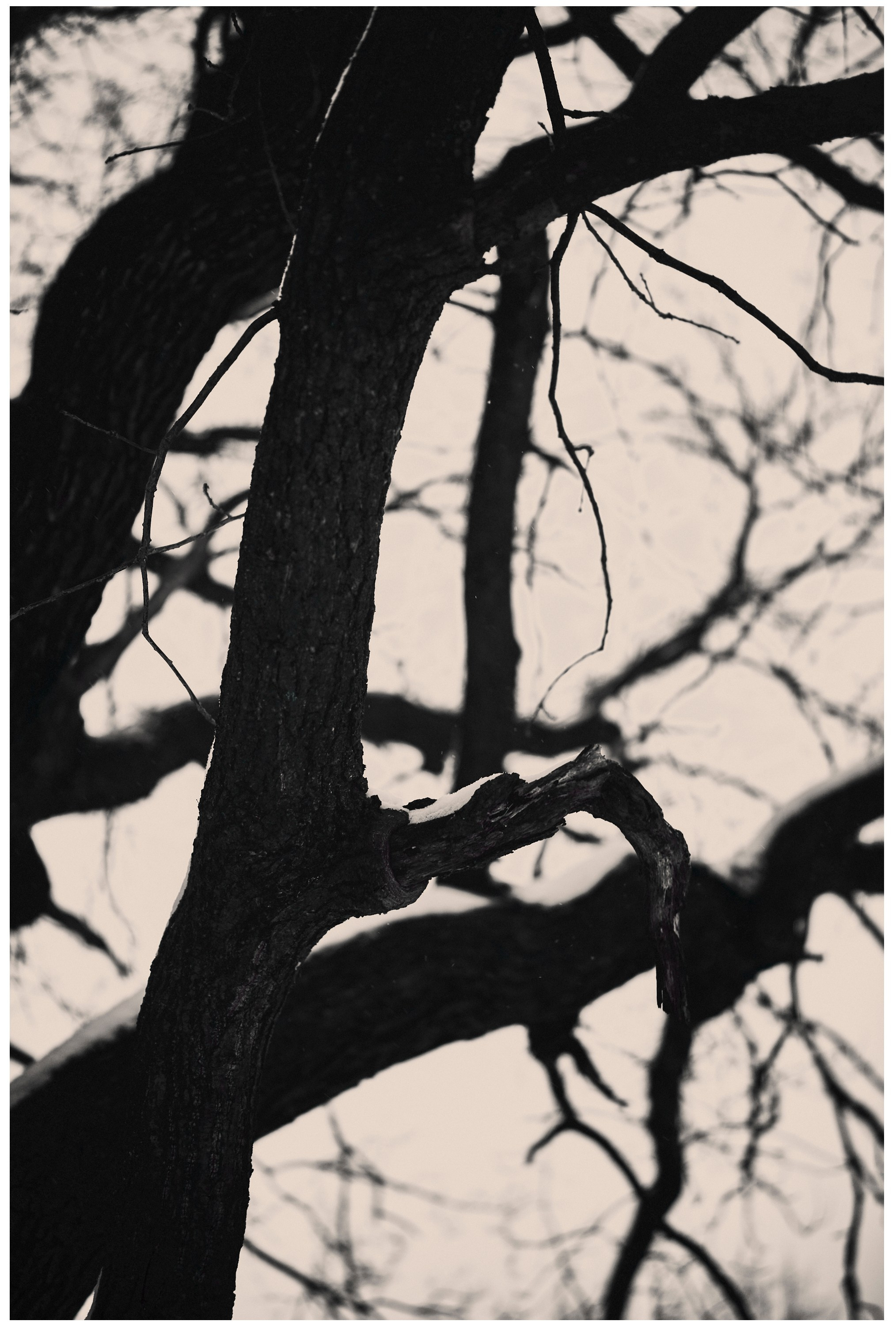 Фотопоказ «Каркас». Коммерческий фотограф в Казани Ксения Добролюбова