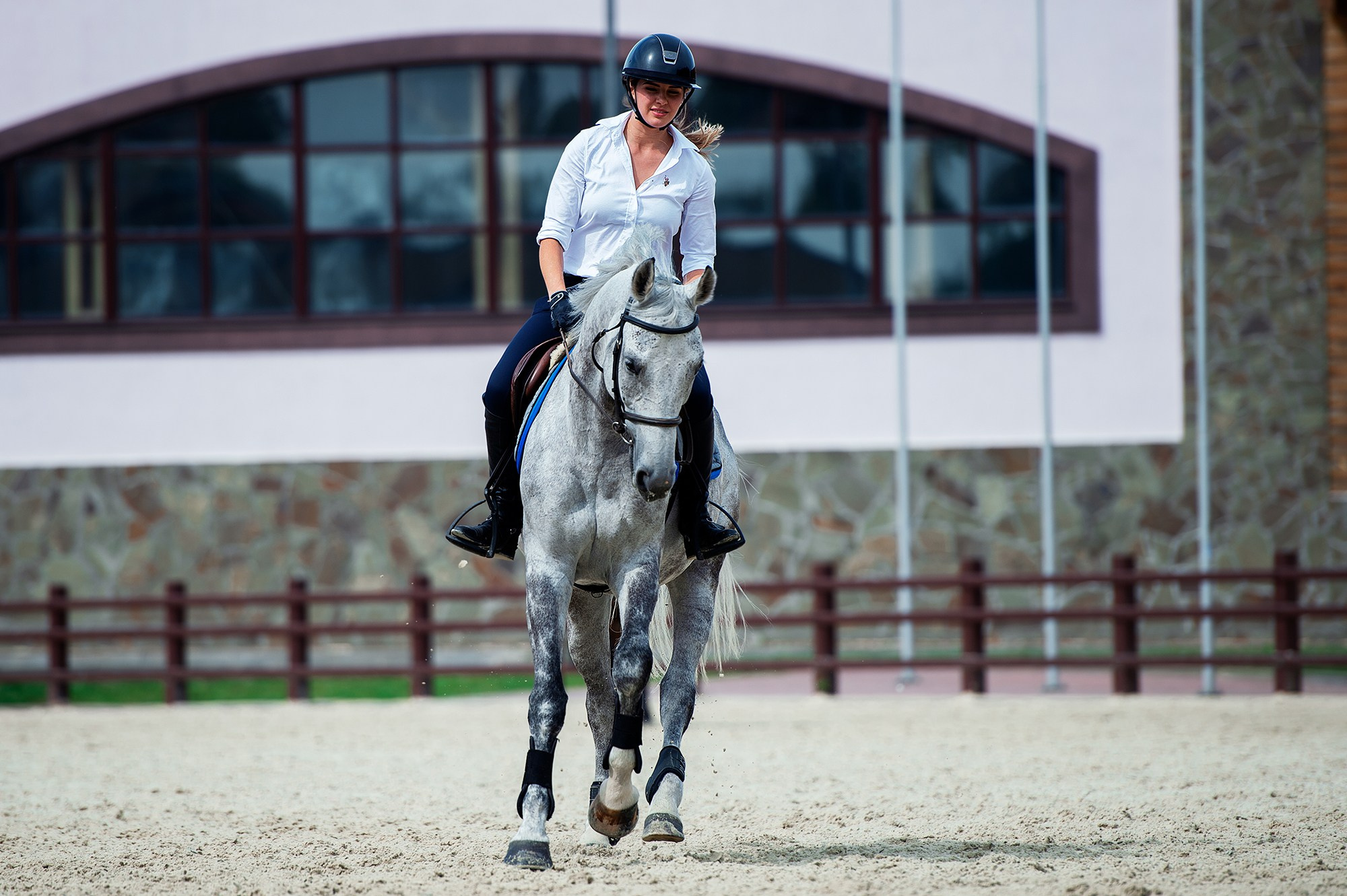 Тренировки. Конный фотограф Alesya Safe