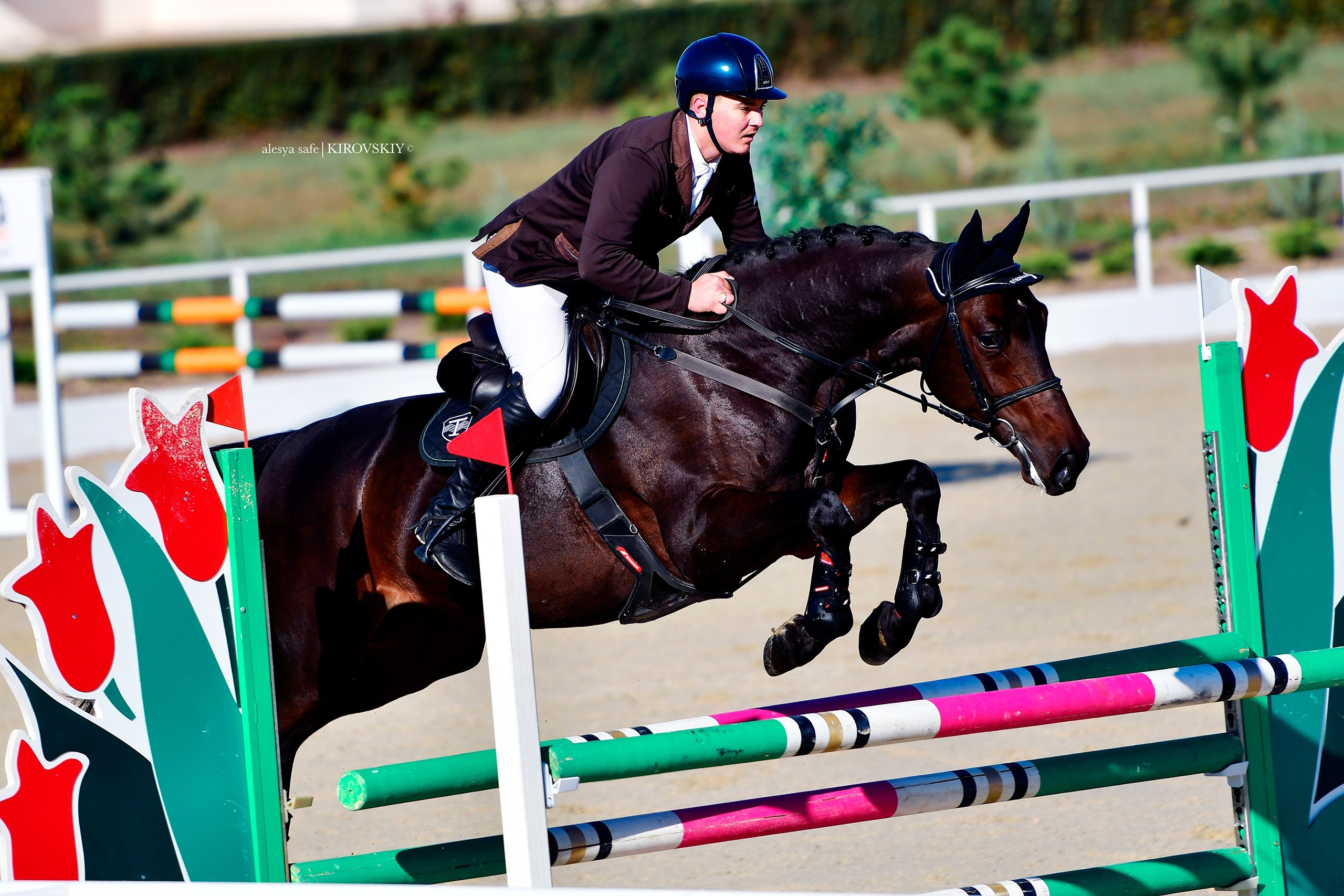 Кировский конный завод. Конный фотограф Alesya Safe