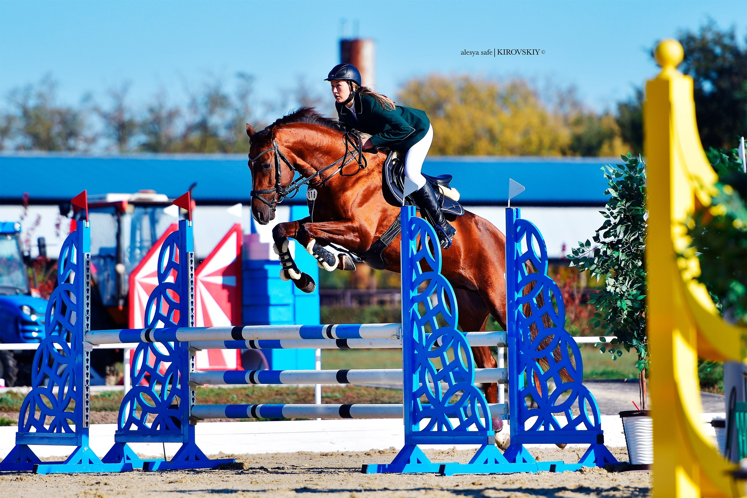 Кировский конный завод. Конный фотограф Alesya Safe
