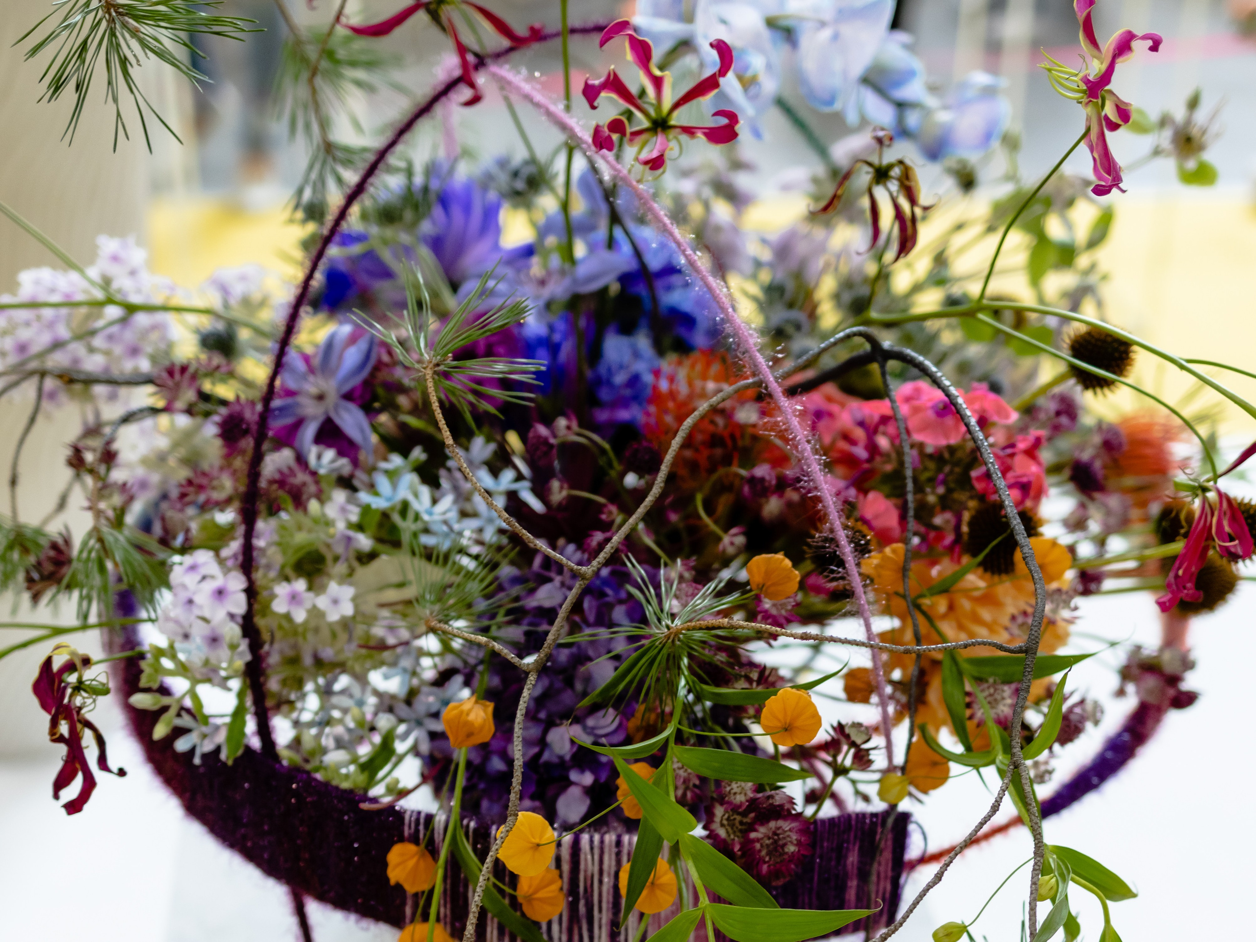 Цветы-Экспо 2024. Фотосессии и репортаж — Фотограф в Москве — Рина Серёгина