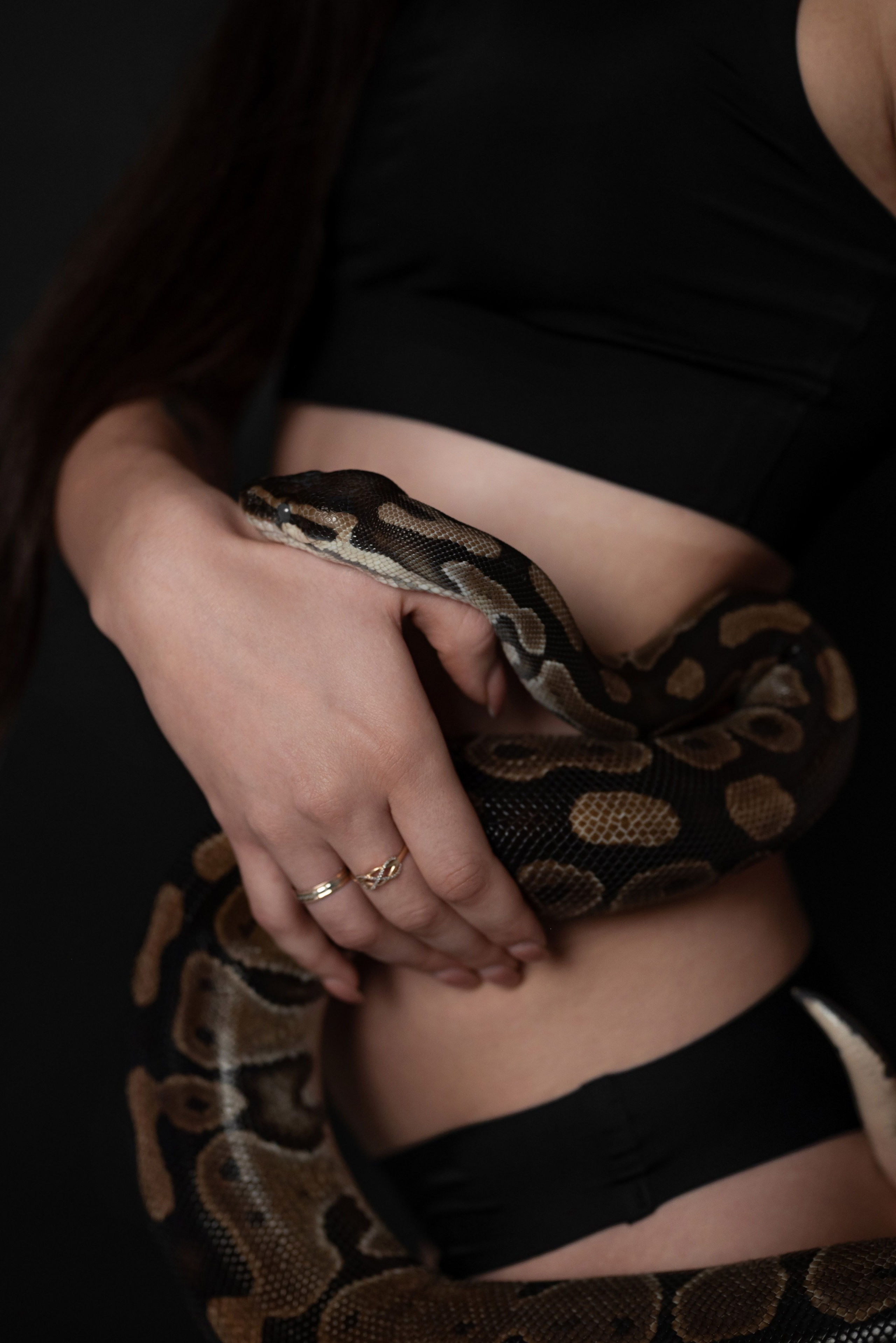 Фотопроект с питоном. Фотограф в городе Салават