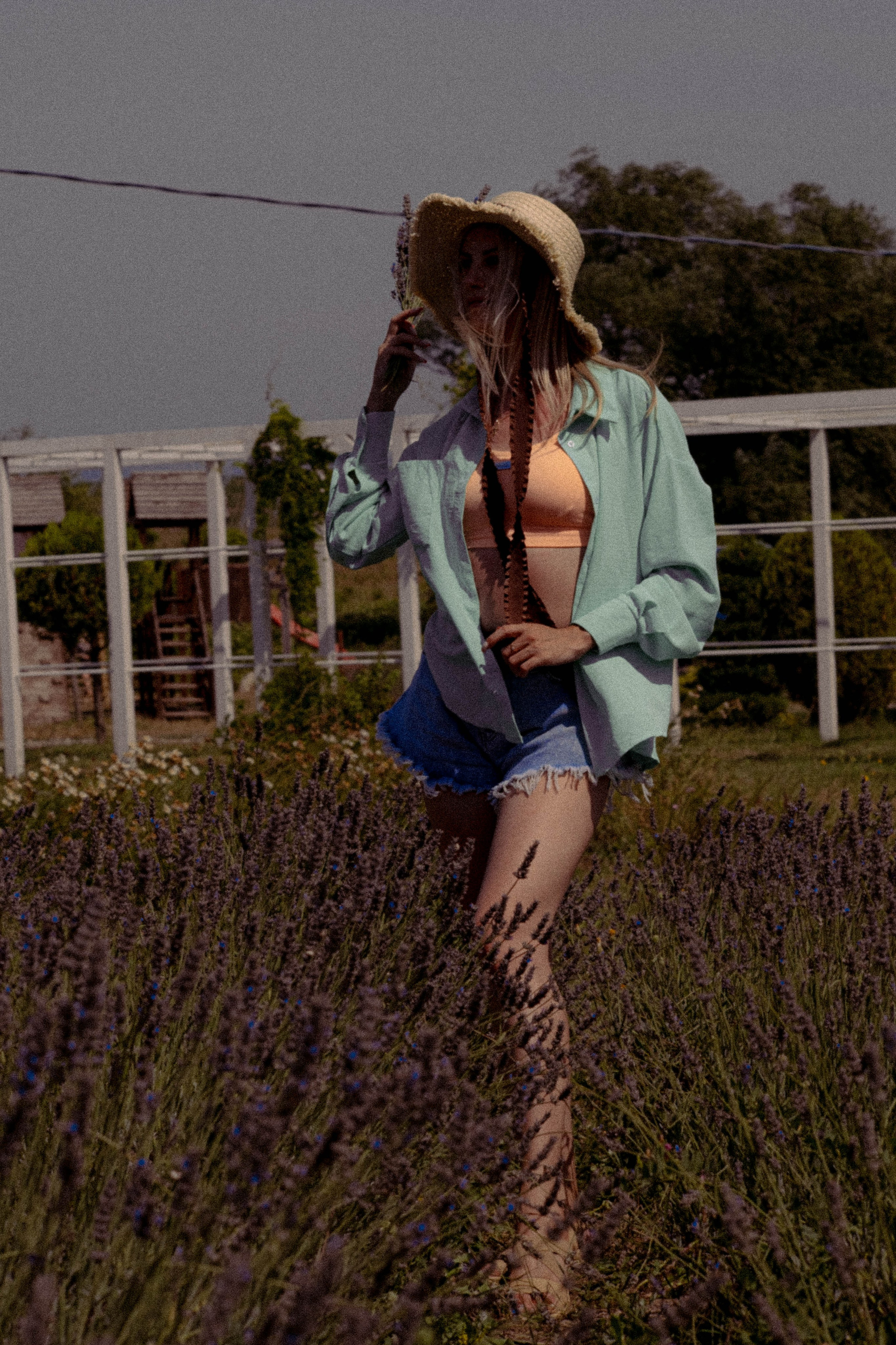 ЛАВАНВОДОВОЕ ПОЛЕ. Профессиональный фотограф, Санкт-Петербург — Виктория Богомолова