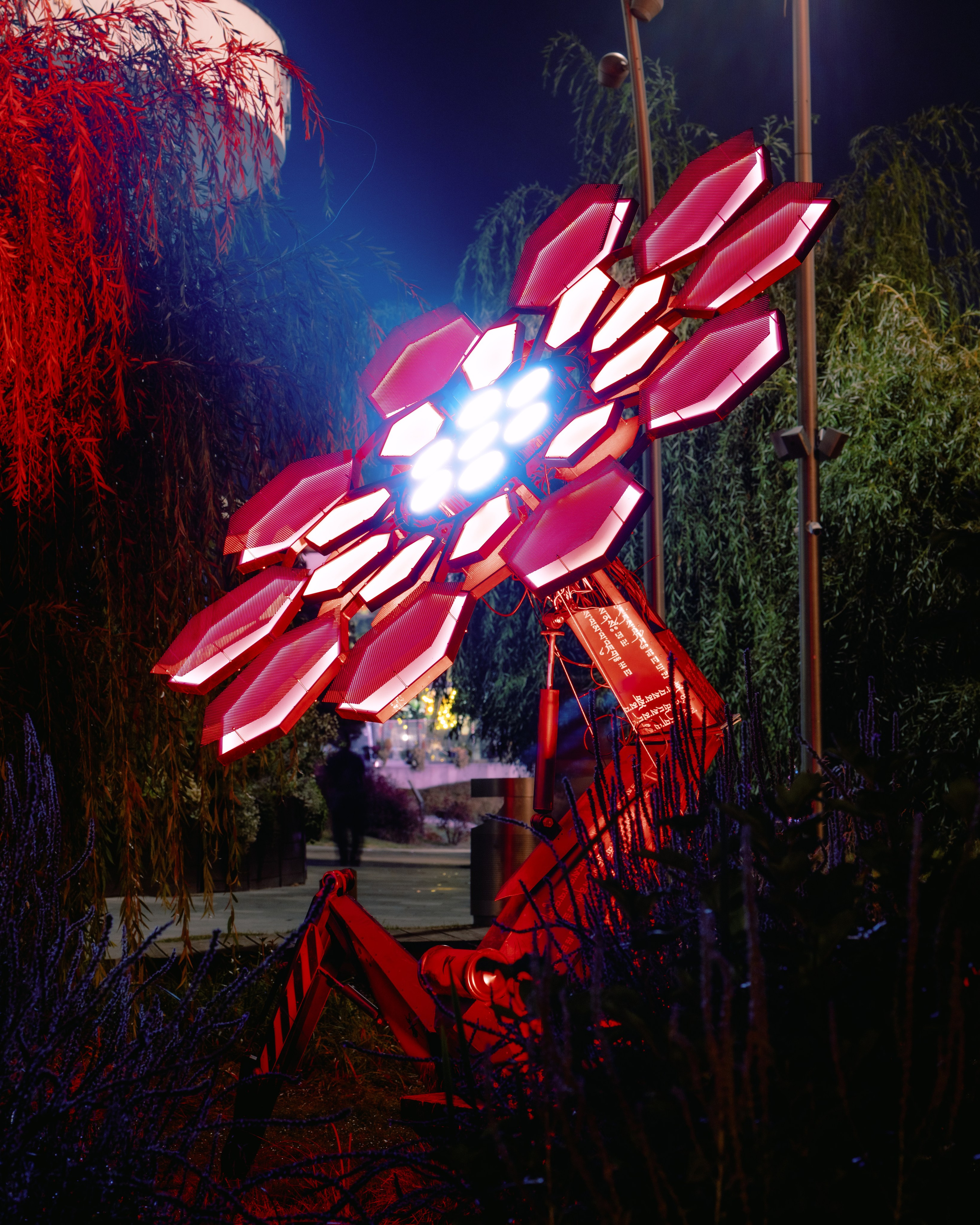 PANTERRA, Cyber Flower. @tomrus: Рустам Шагиморданов — фотограф