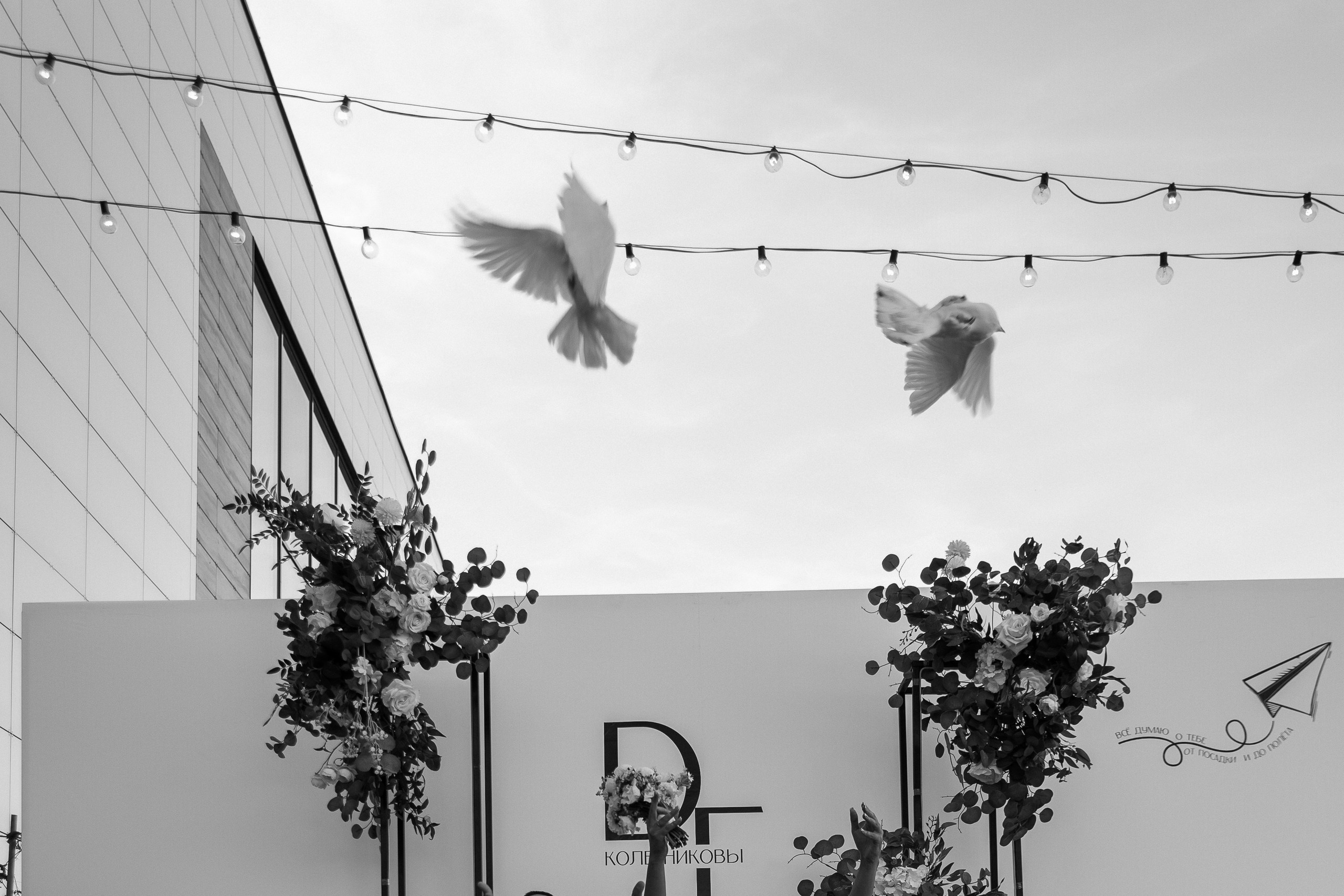 Красивая свадьба Дениса и Елизаветы в Романово. Главная