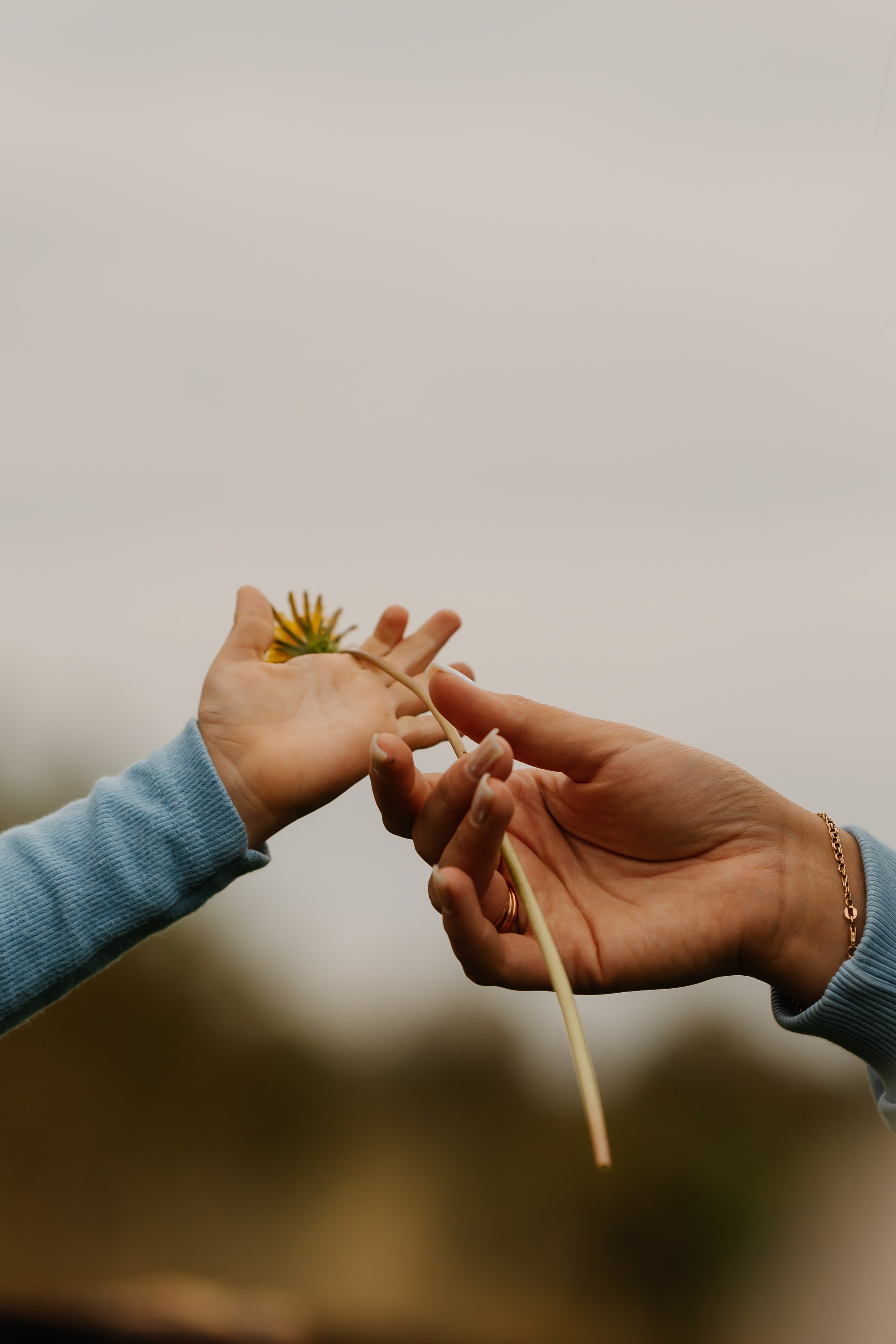 2х летие Тимурика. СВАДЕБНЫЙ ФОТОГРАФ КРАСНОЯРСК